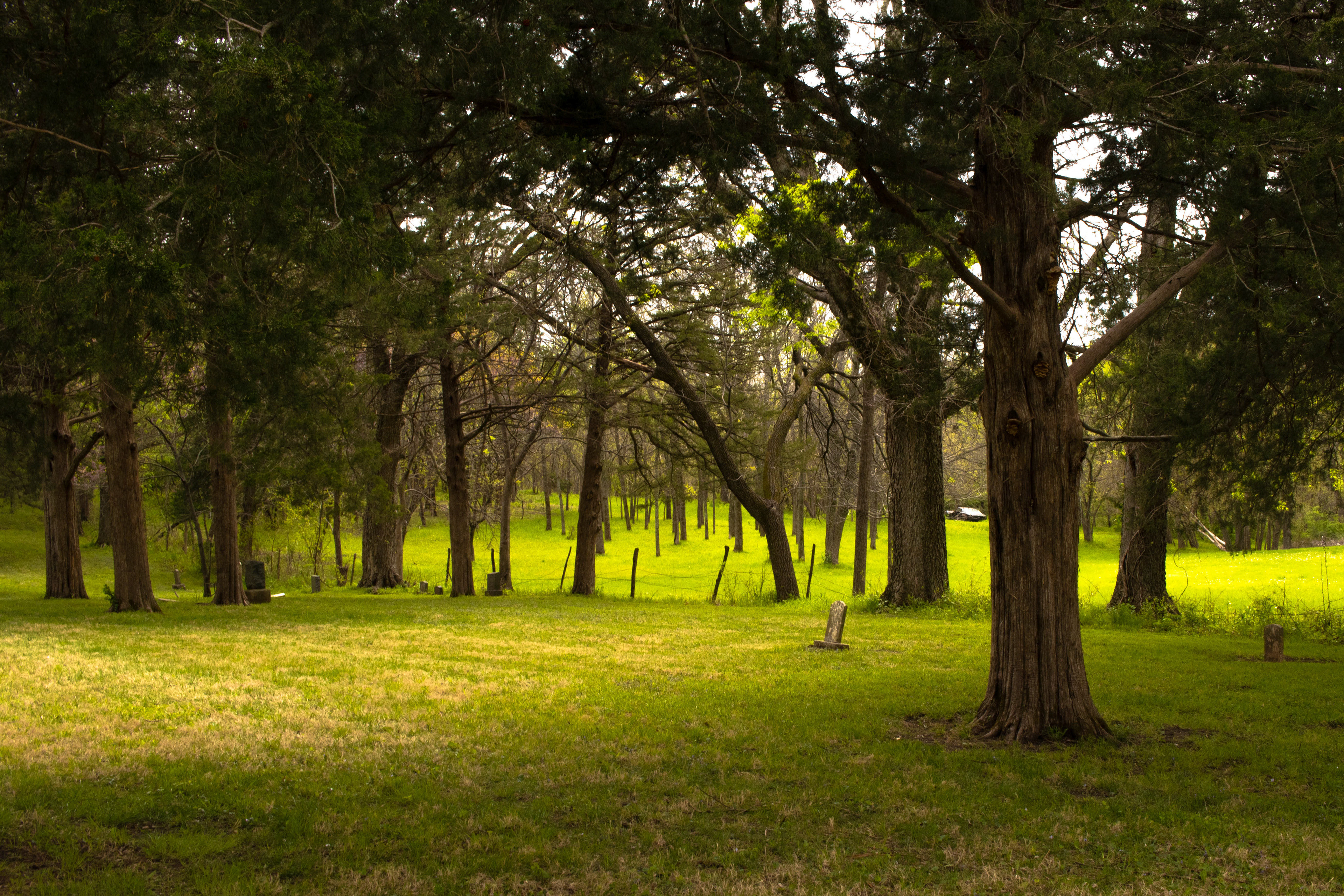 Finding my way home - photo 200 final 