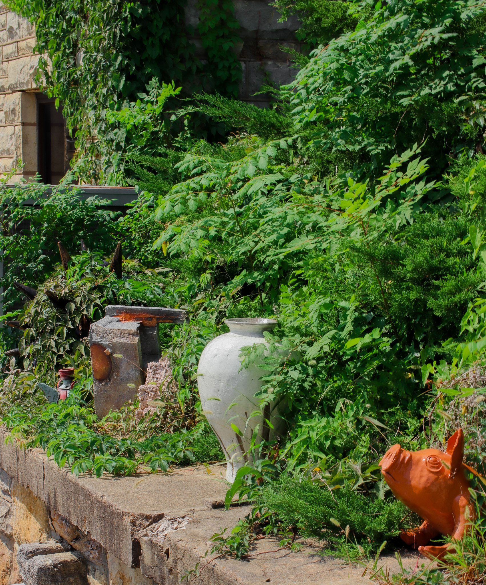 Rules of photography - Photo 100 assignment