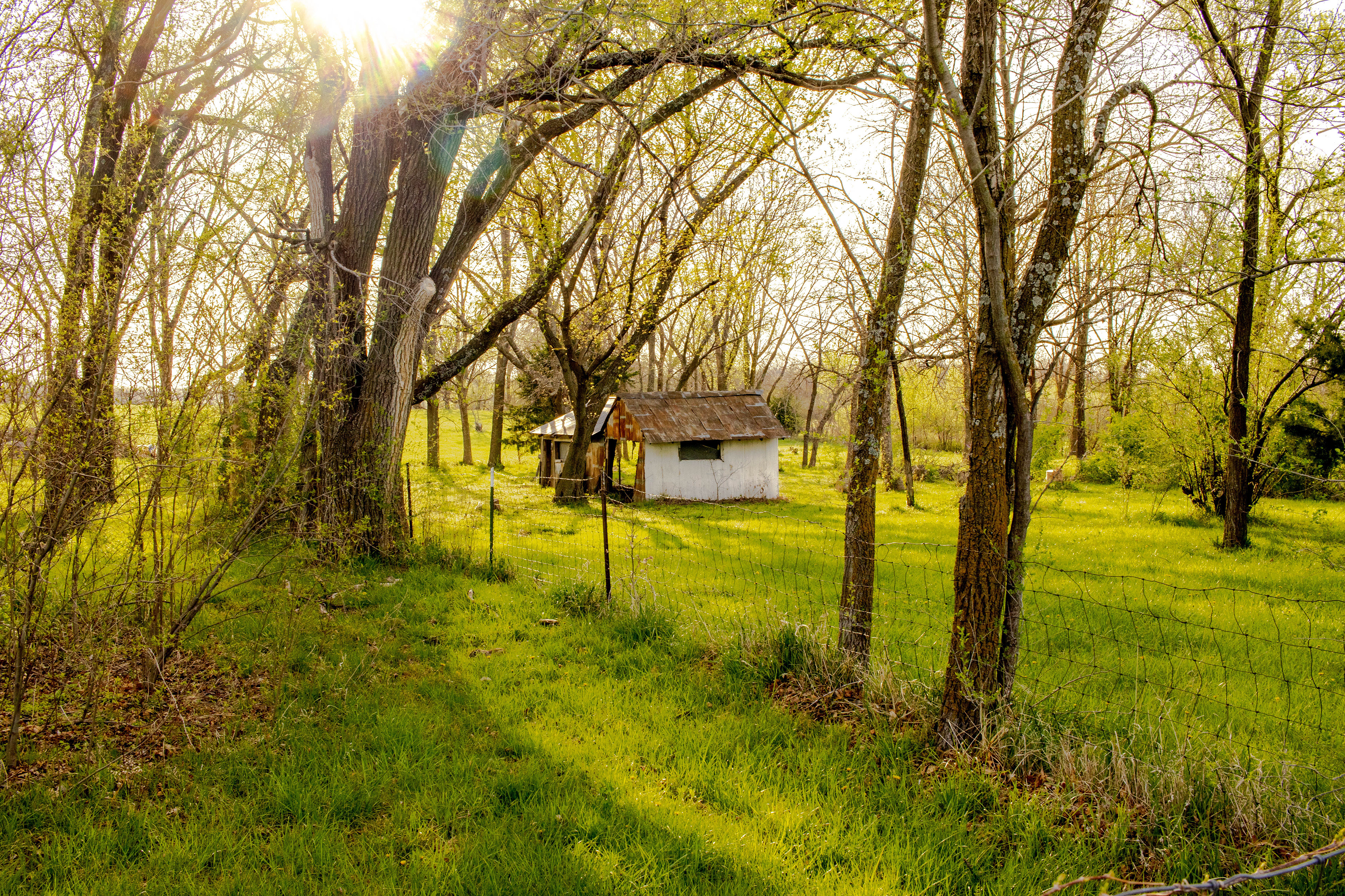 Finding my way home - photo 200 final 