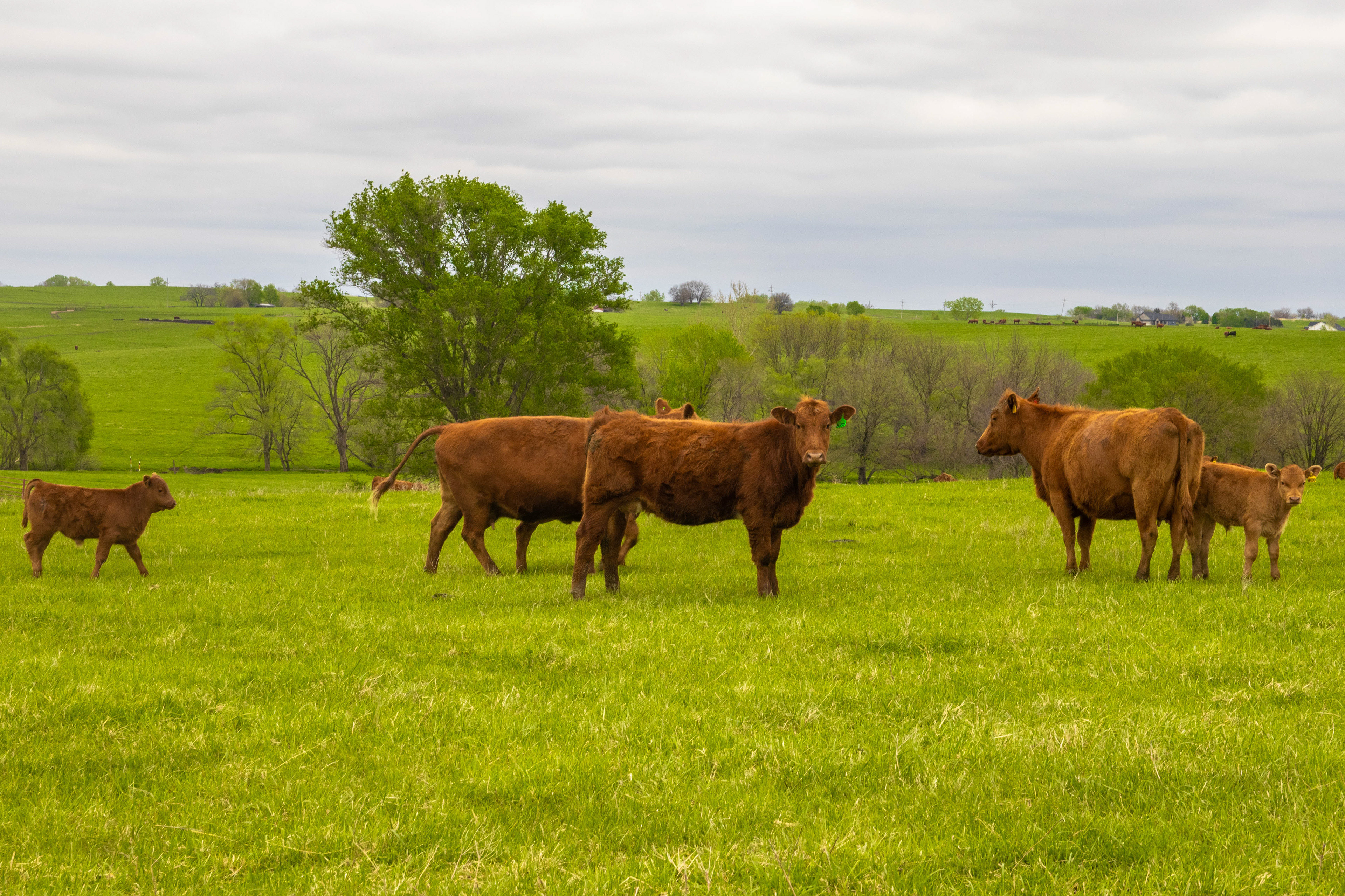 Finding my way home - photo 200 final 