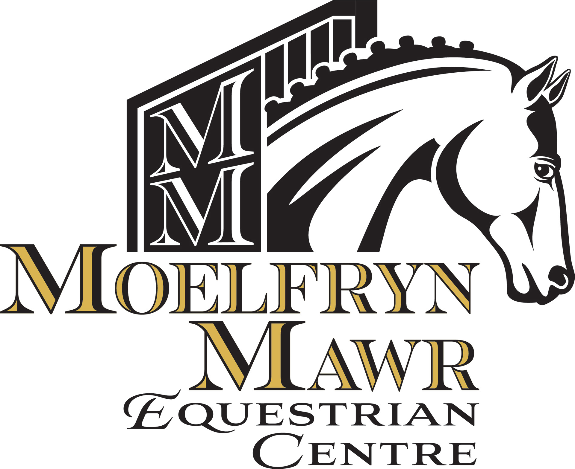 Logo Design for Equine Centre