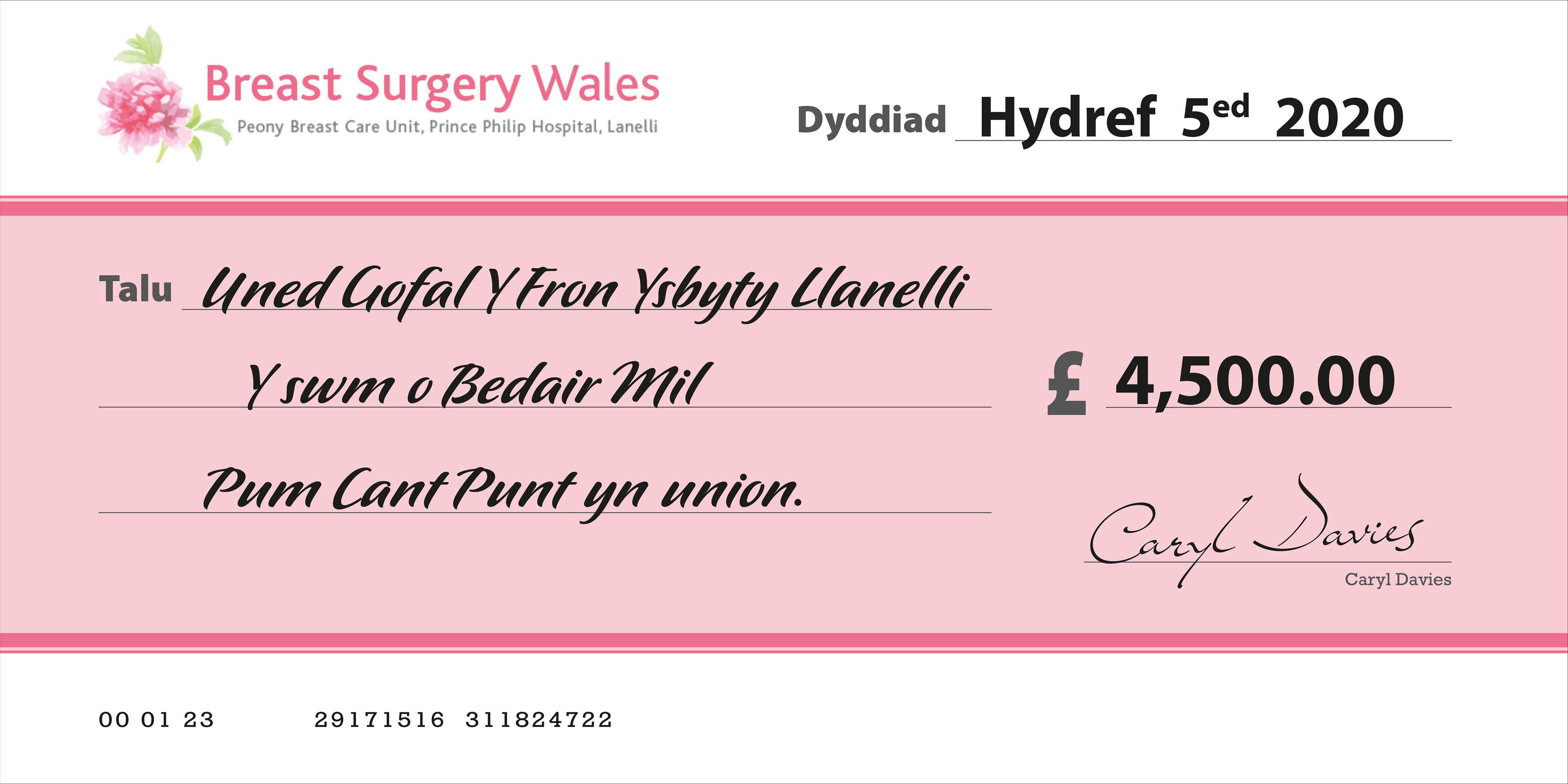Large Charity Cheque