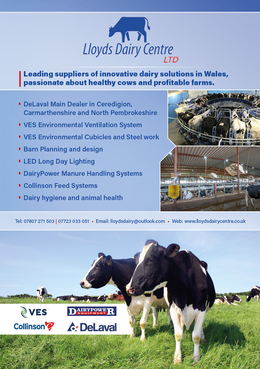 A5 advert for Lloyds Dairy Centre