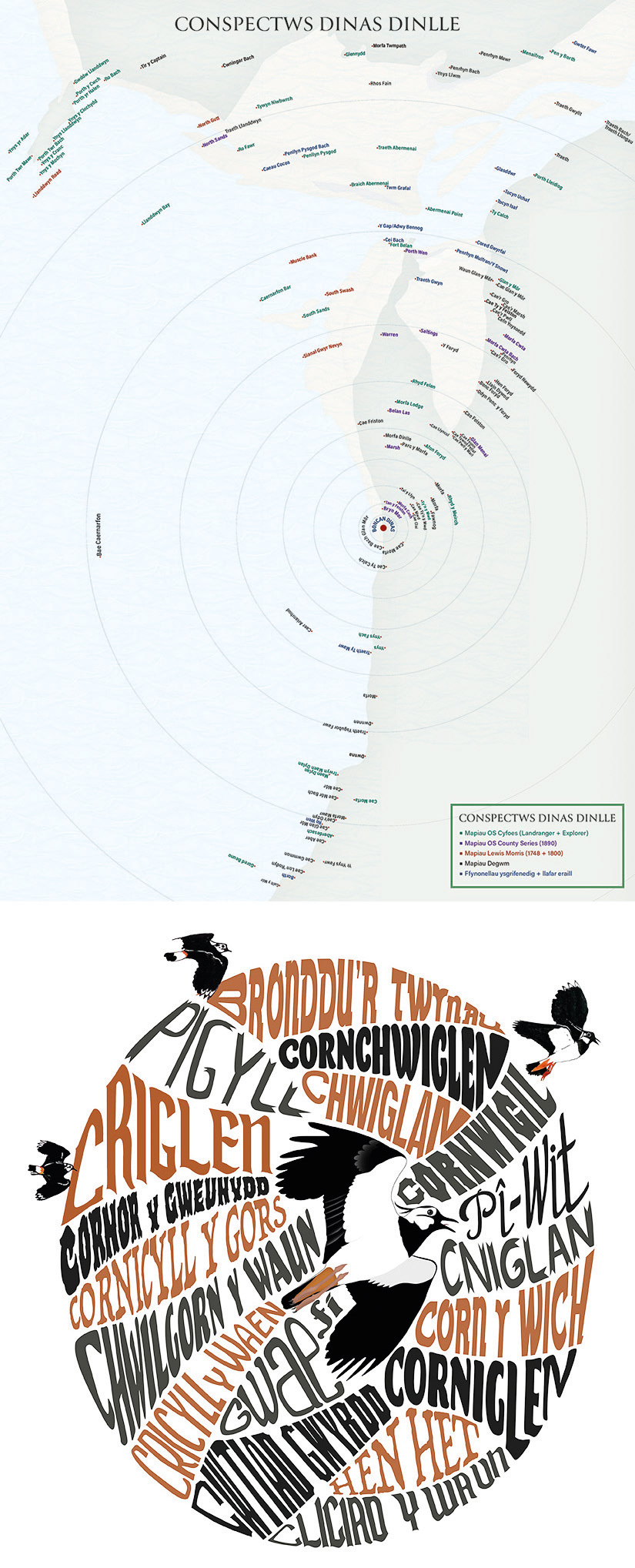 Gareth Edwin-Conspectus and Lapwing montage