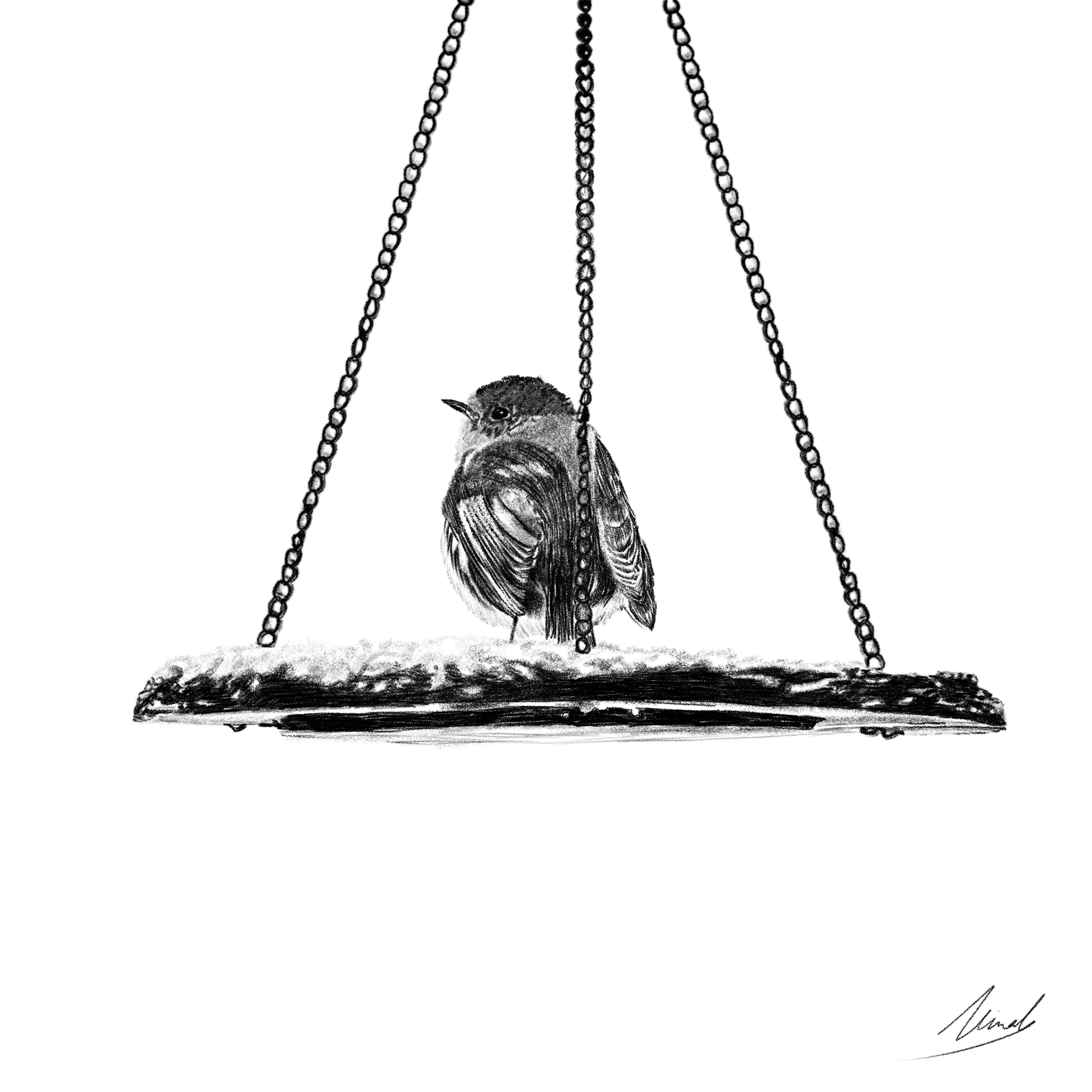 Bird of winter 24