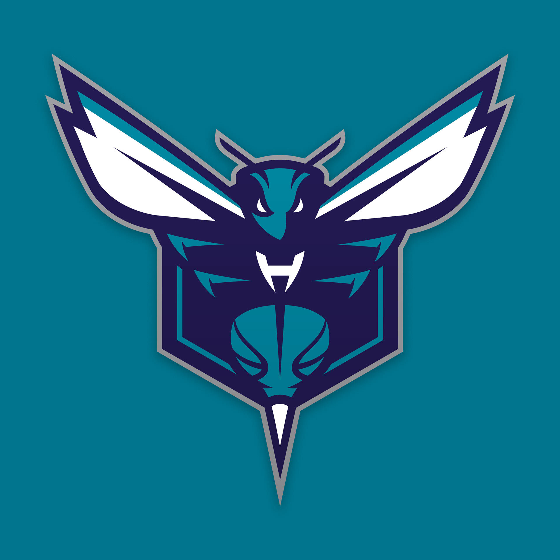 Chris Jelley | Charlotte Hornets Design