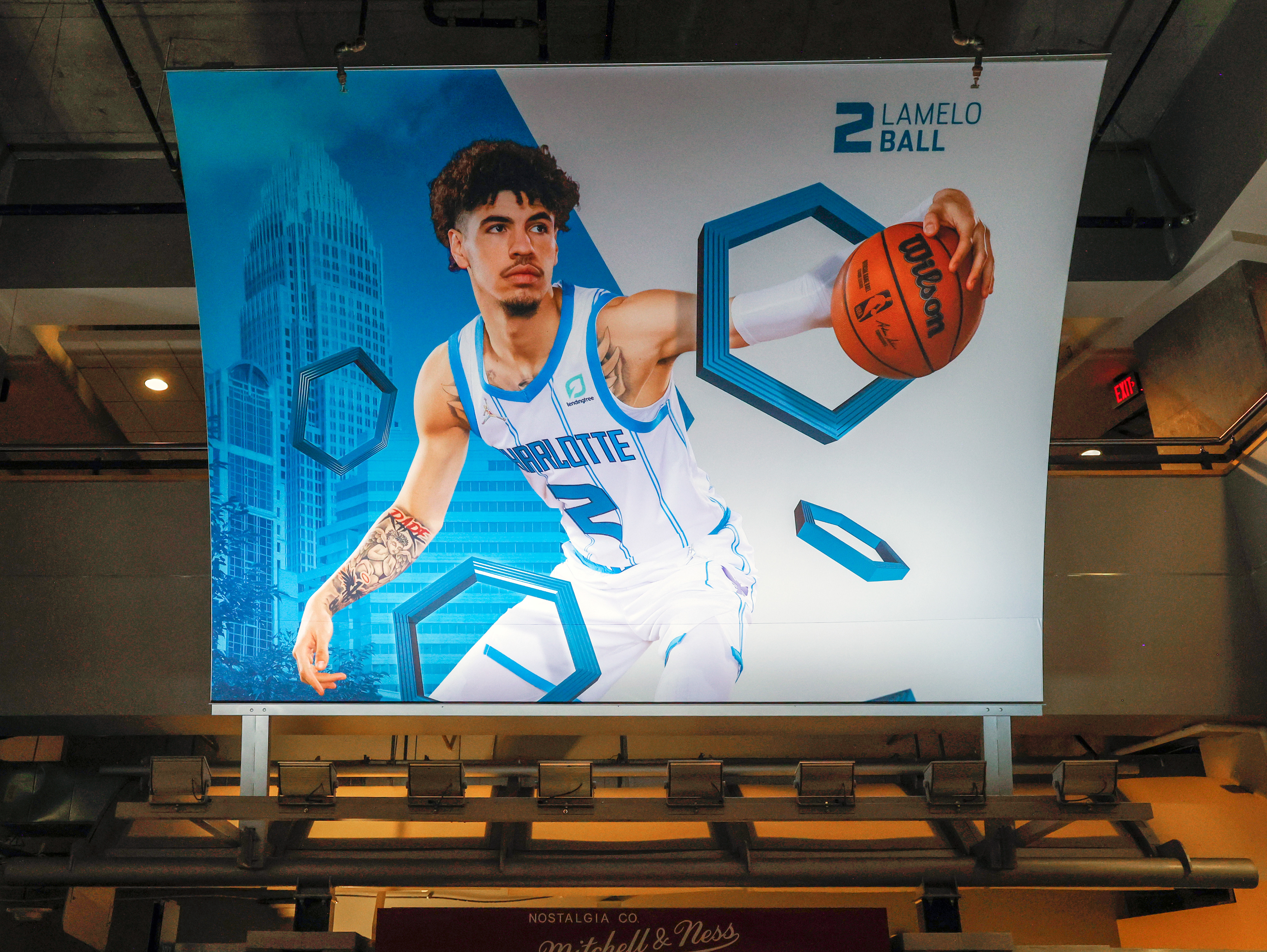 LaMelo Ball | Hornets Art Tree Banner