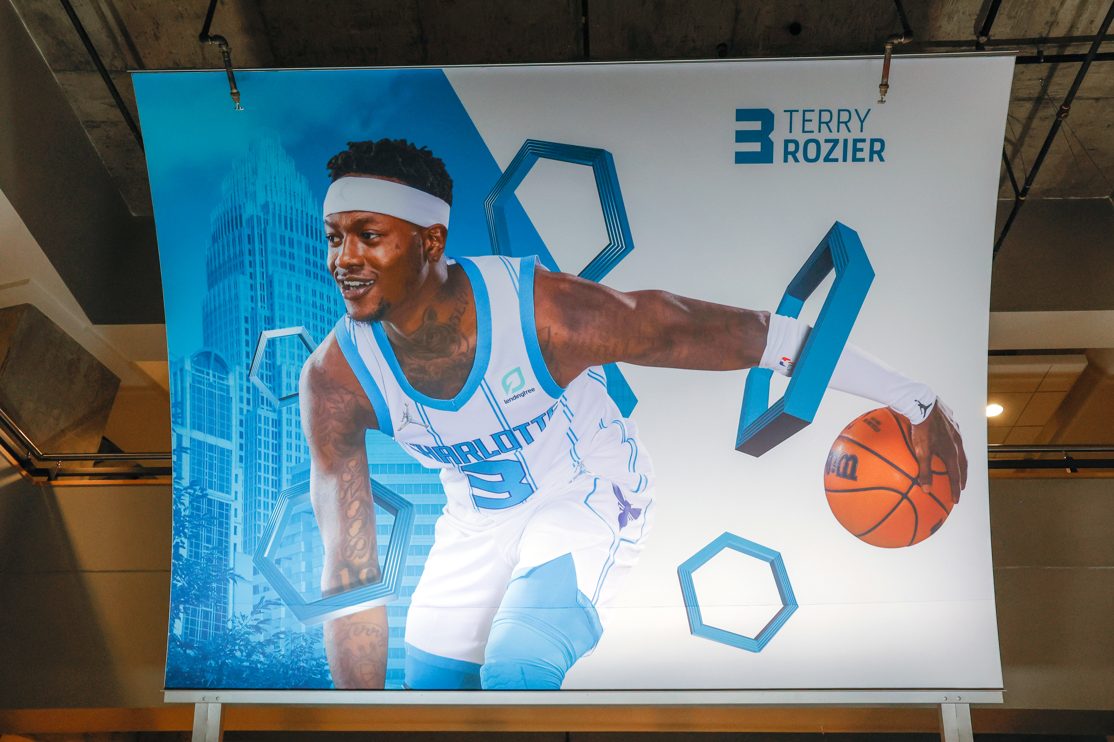 Terry Rozier | Hornets Art Tree Banner