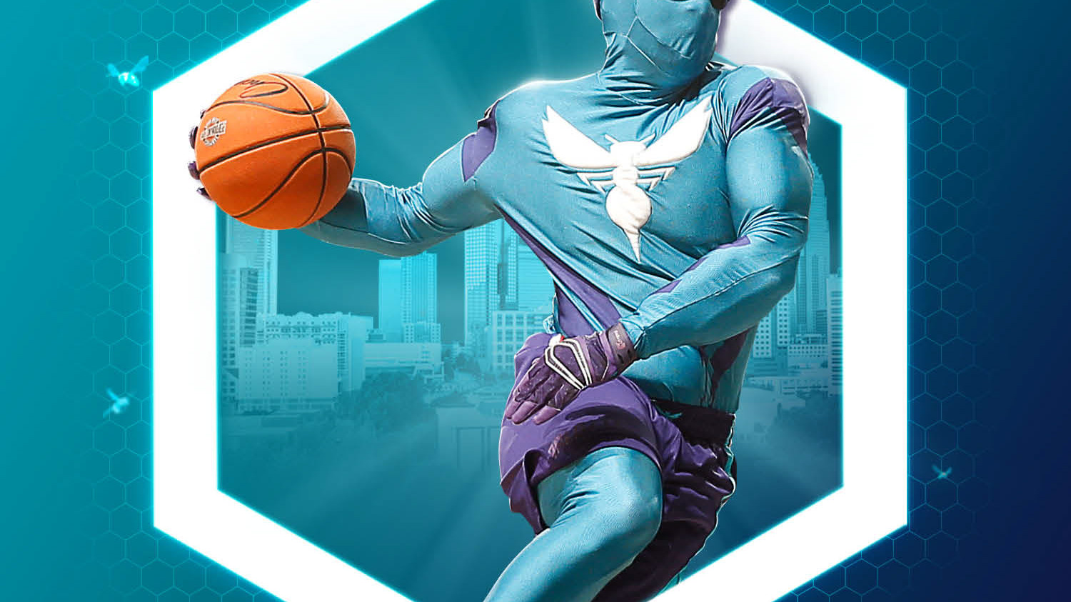 Chris Jelley  Web Portfolio - Charlotte Hornets Mobile Fan Shop