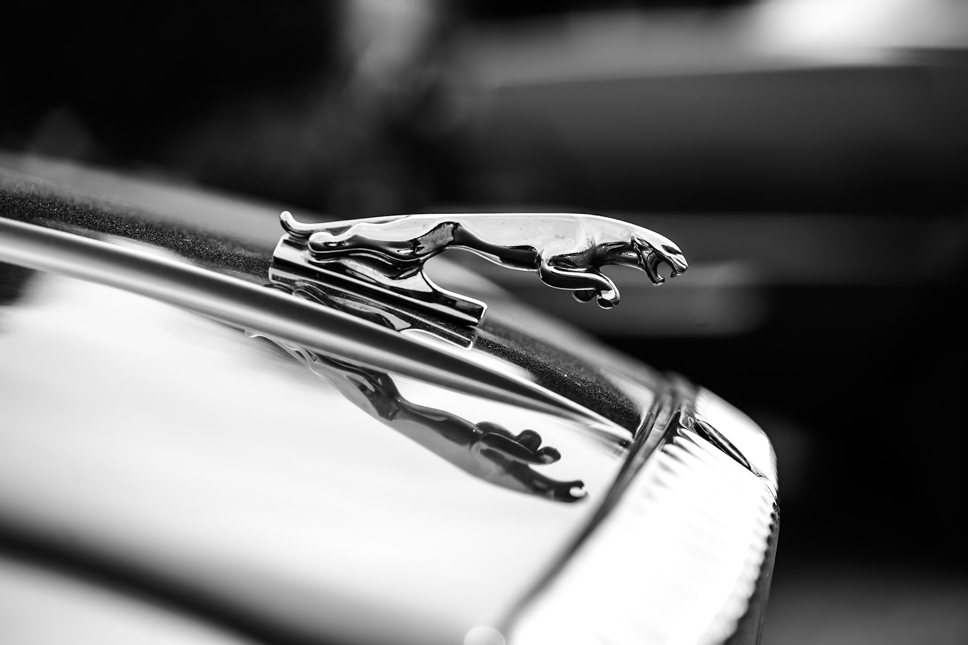 Jaguar Kühlerfigur / Hood Ornament