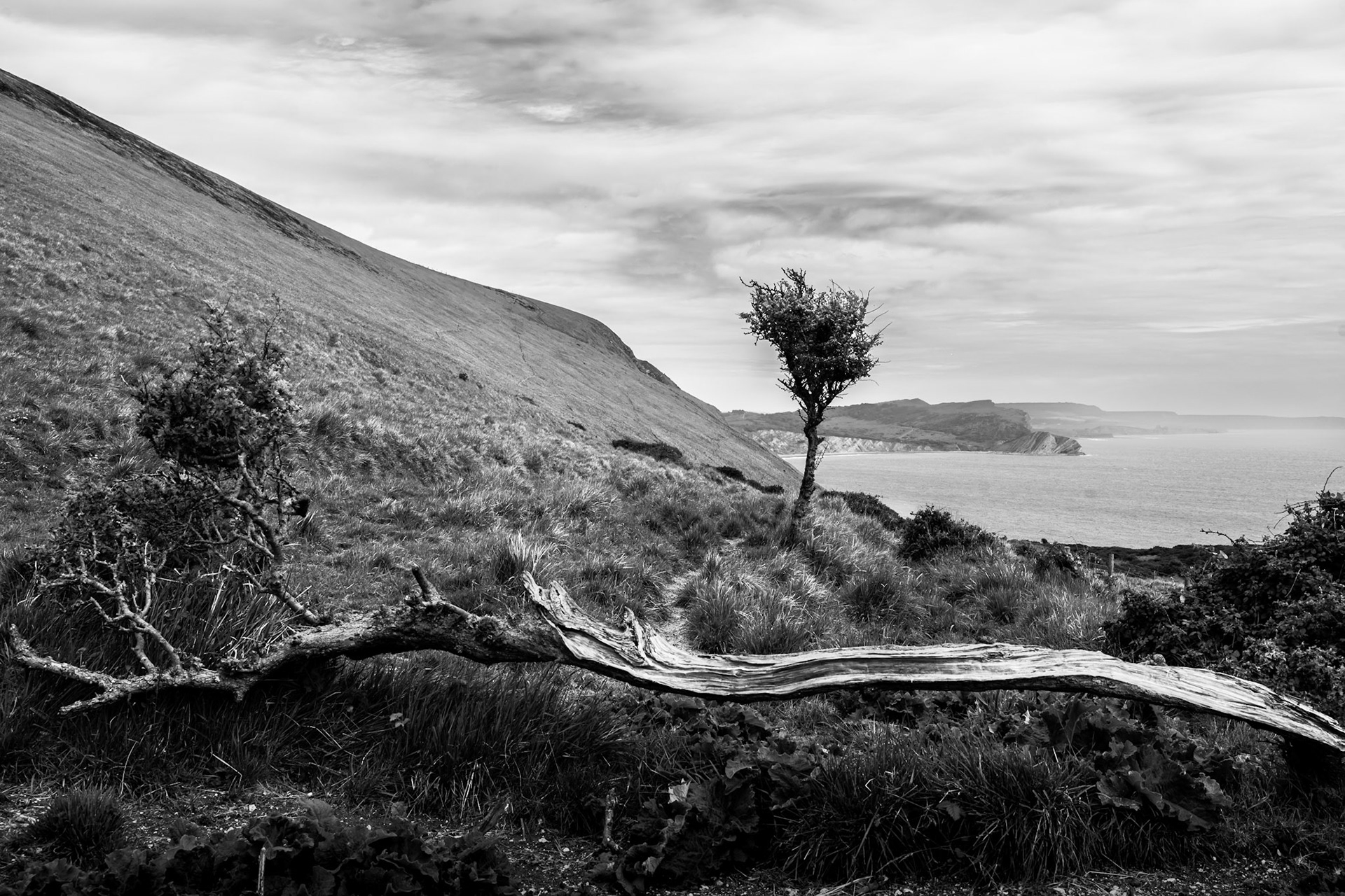 Atlantic coast near Lulworth Cove, Dorset, England