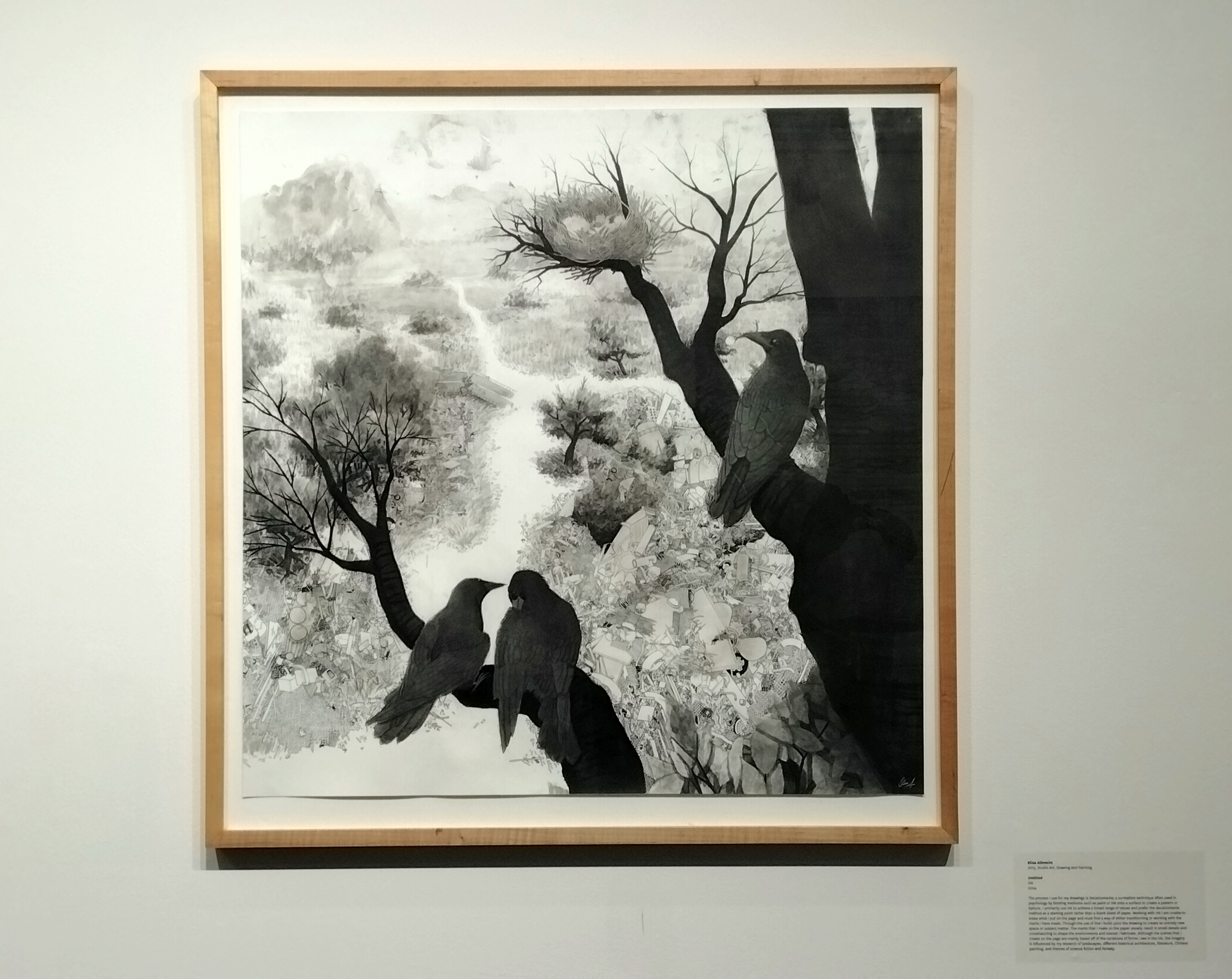 30"x30" inches ink on paper