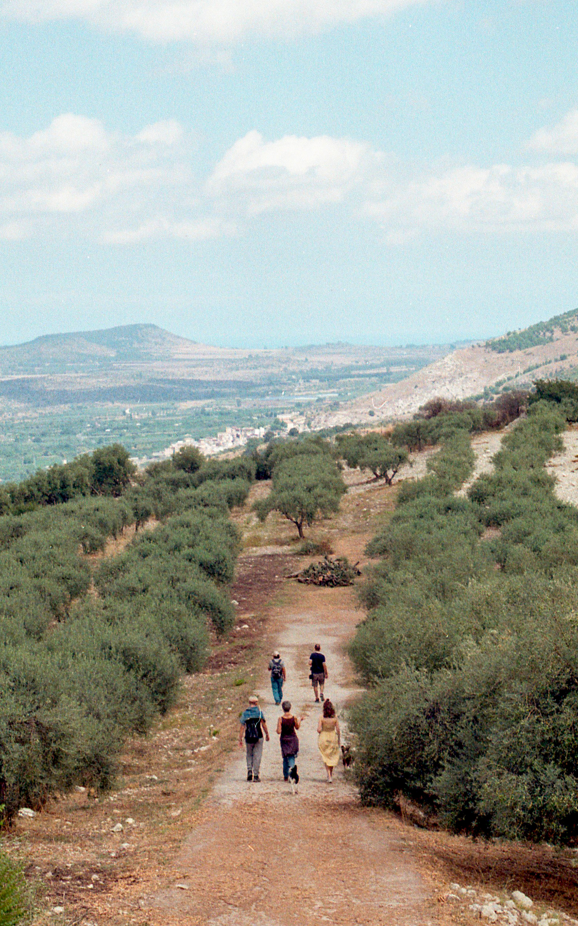 Buccheri, Sicily - 2020