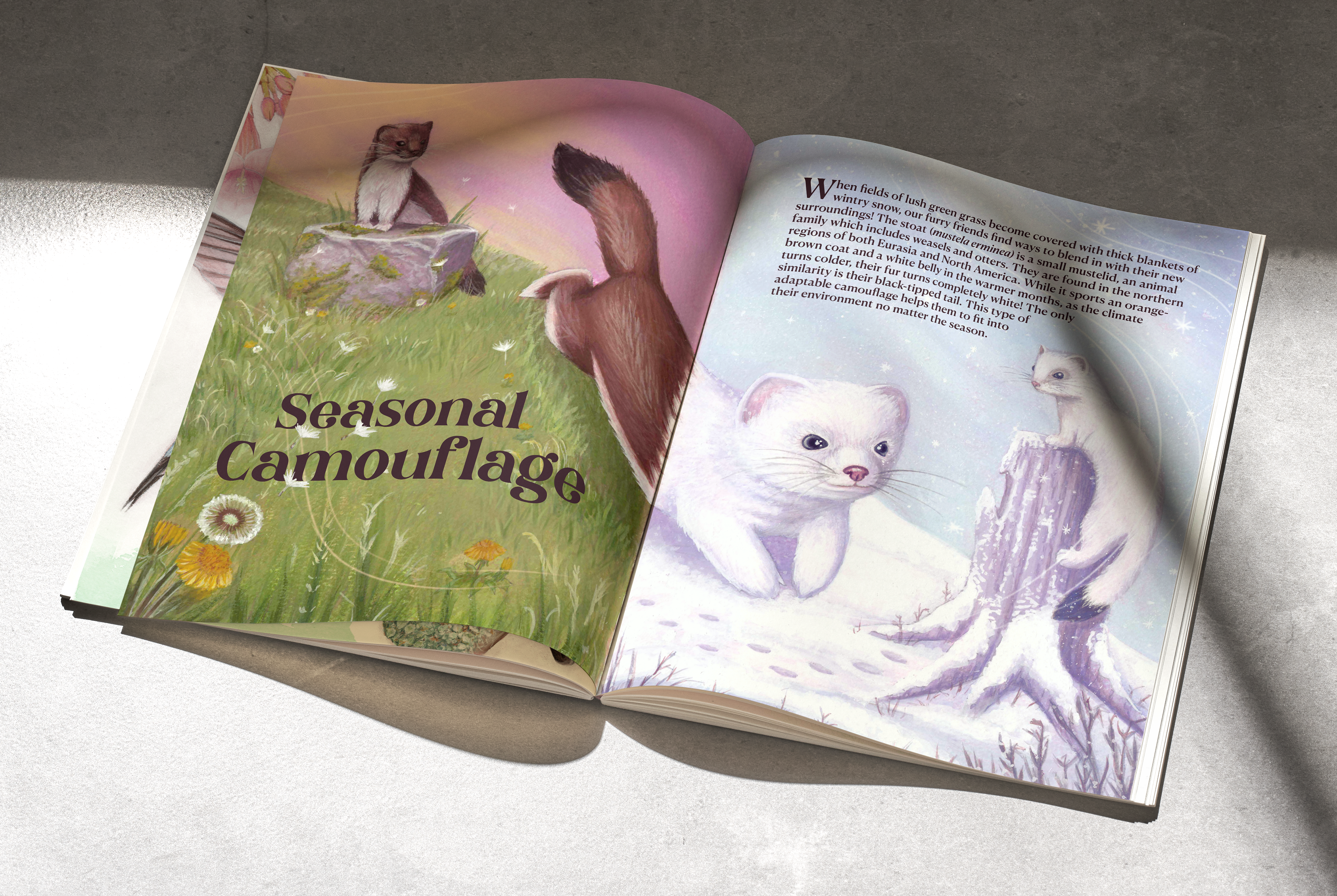 Seasonal Camouflage, 2025