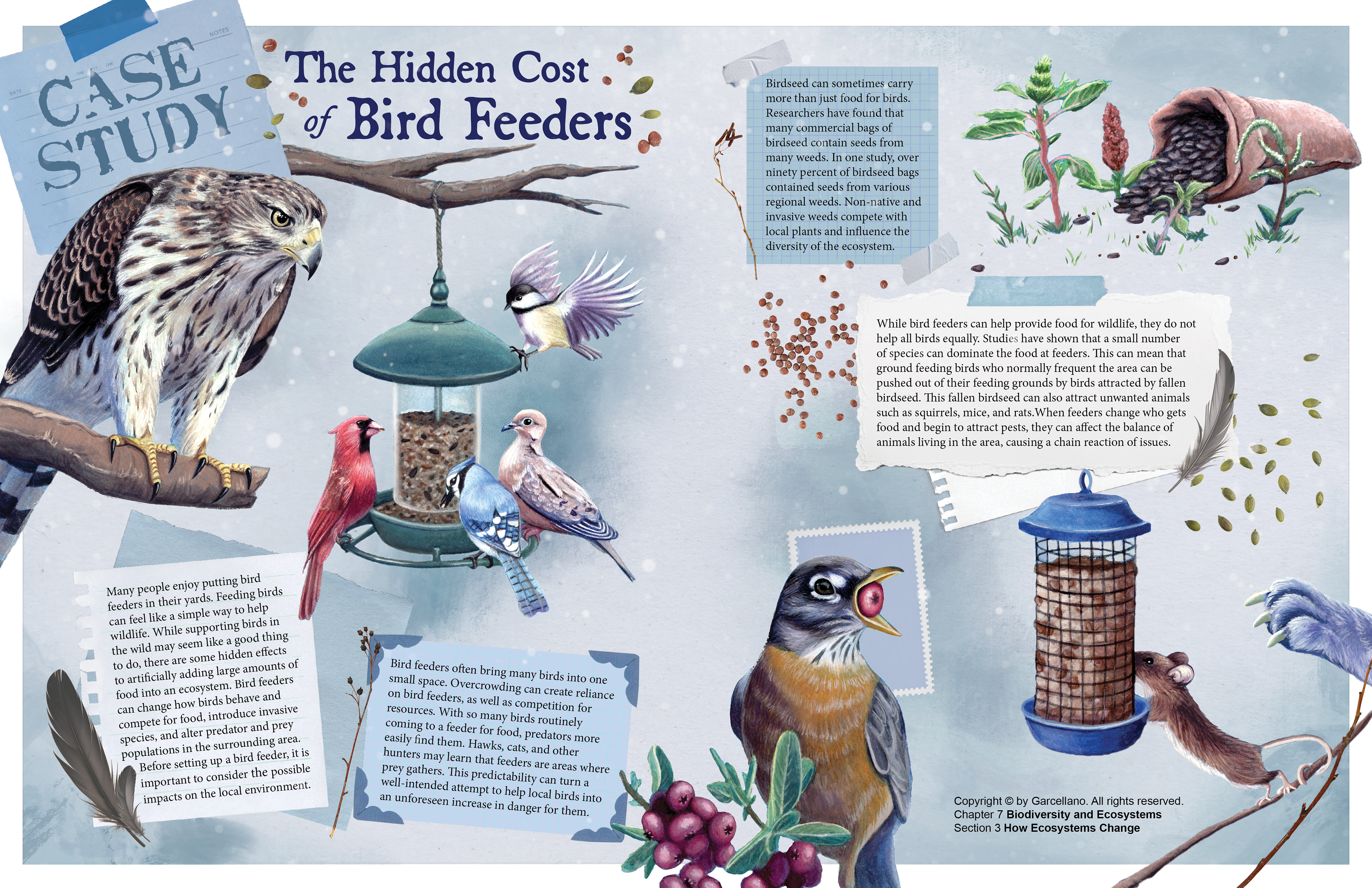 The Hidden Cost of Bird Feeders, 2026