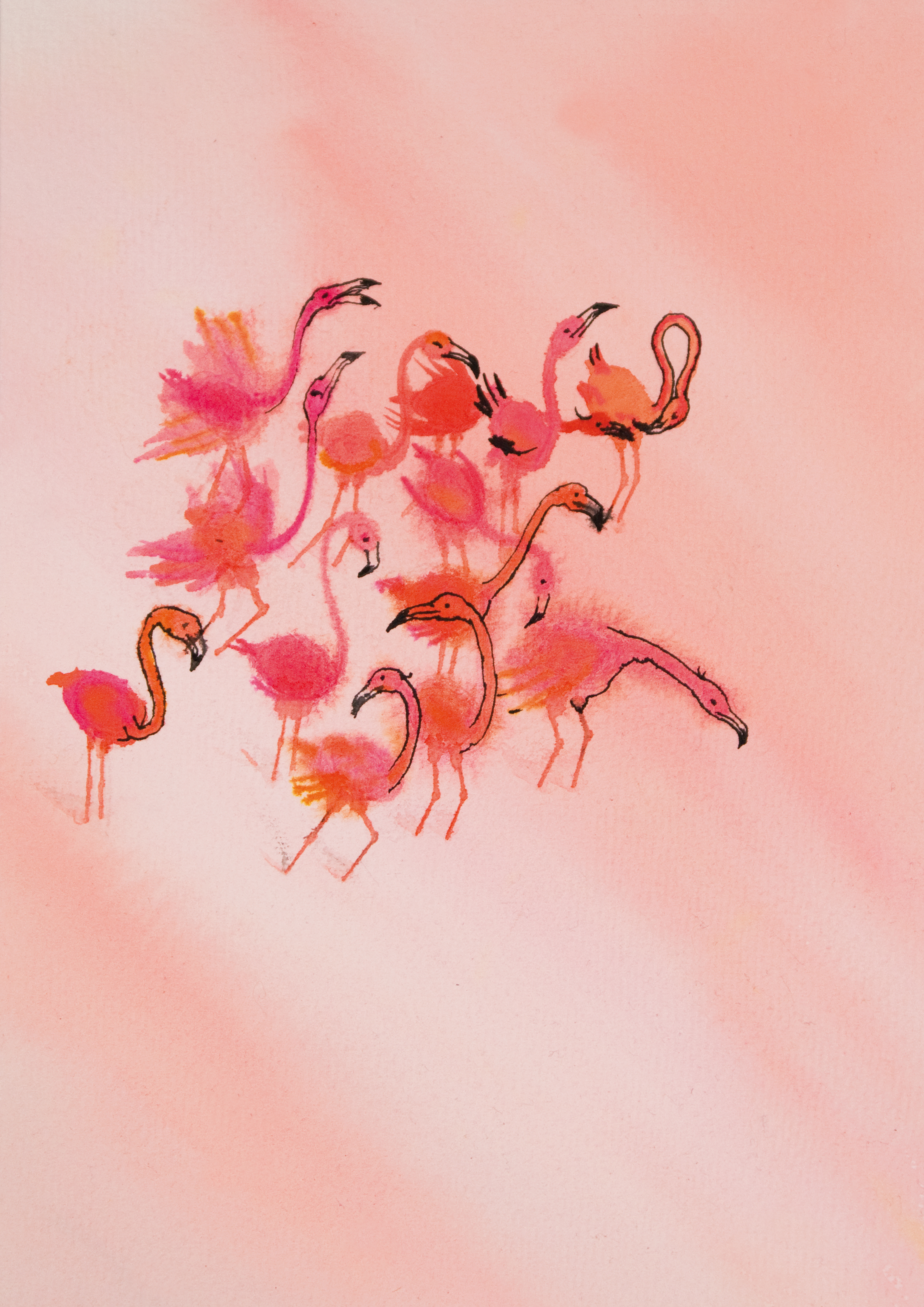 A watercolor illustration by Marie-josé Bremer with pink pelicans standing in a pink sea. 