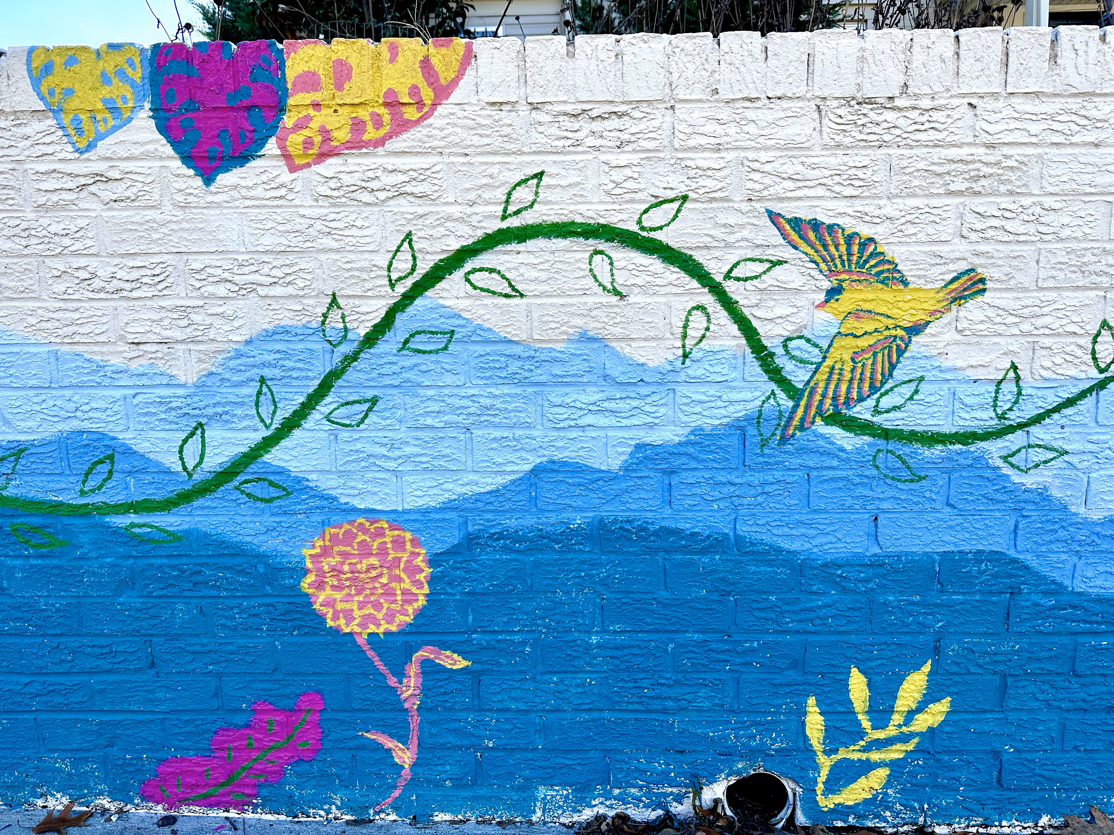 Sidewalk Mural, Takoma DC.