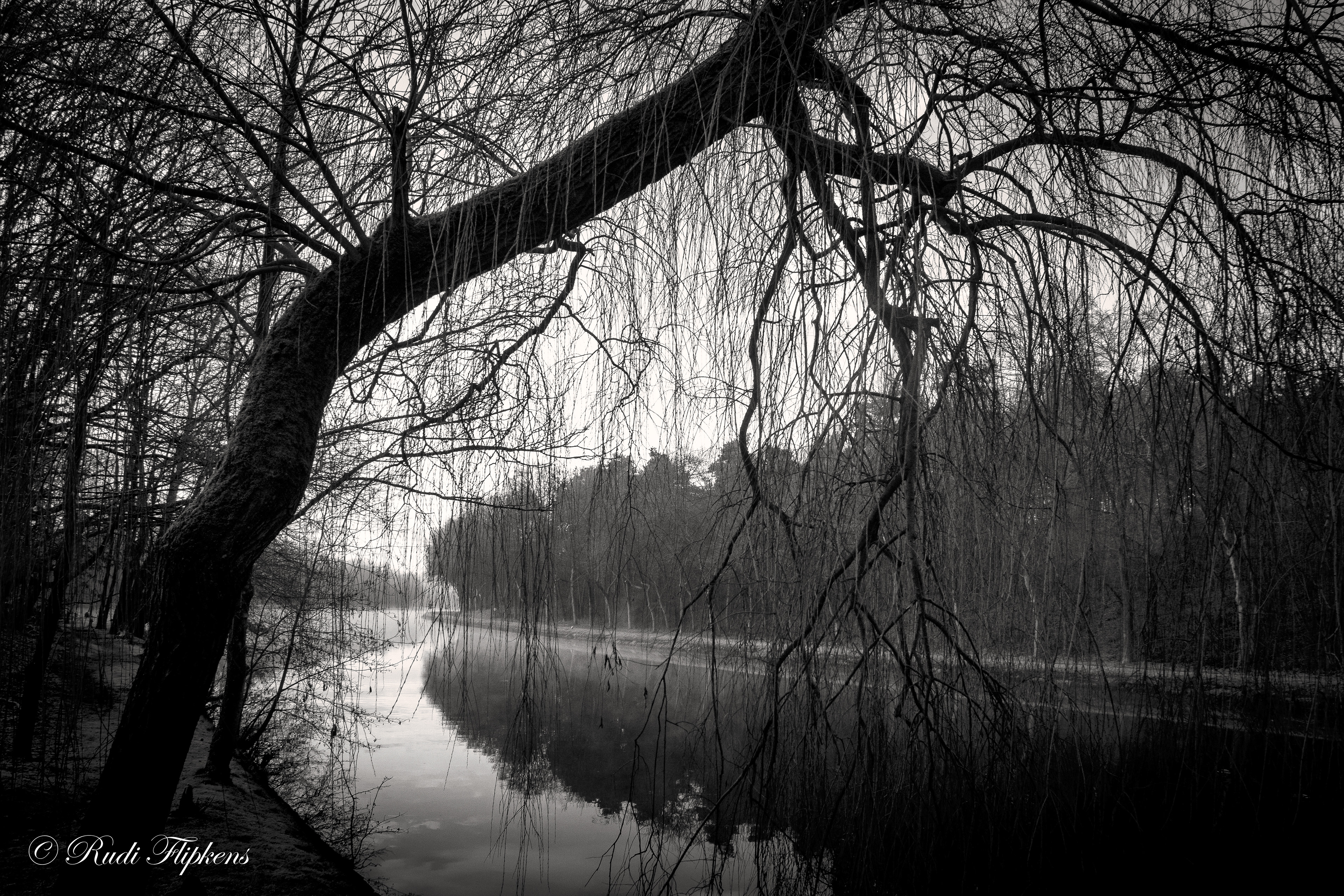 Eilandje Neeroeteren