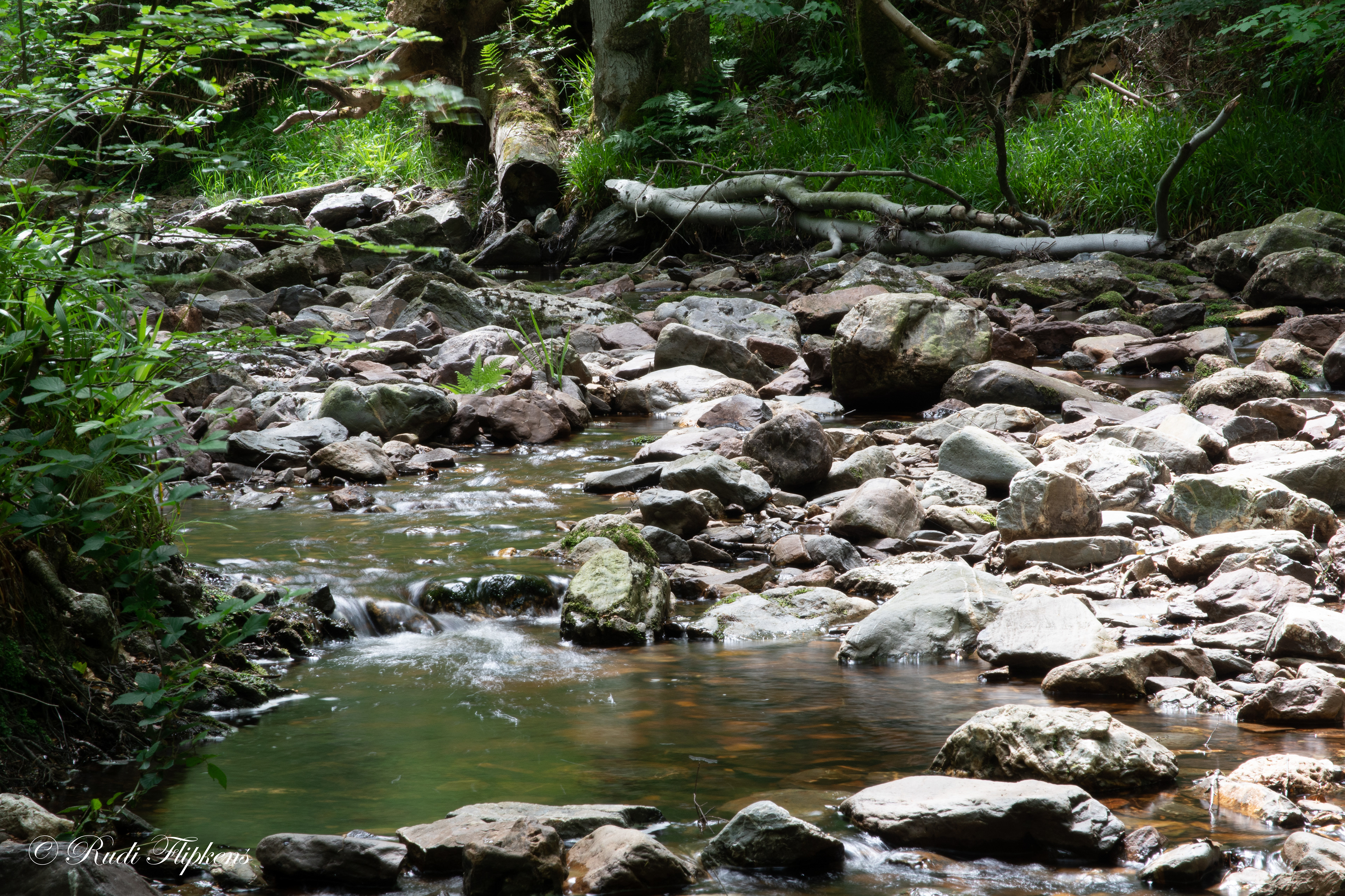 Ardennen