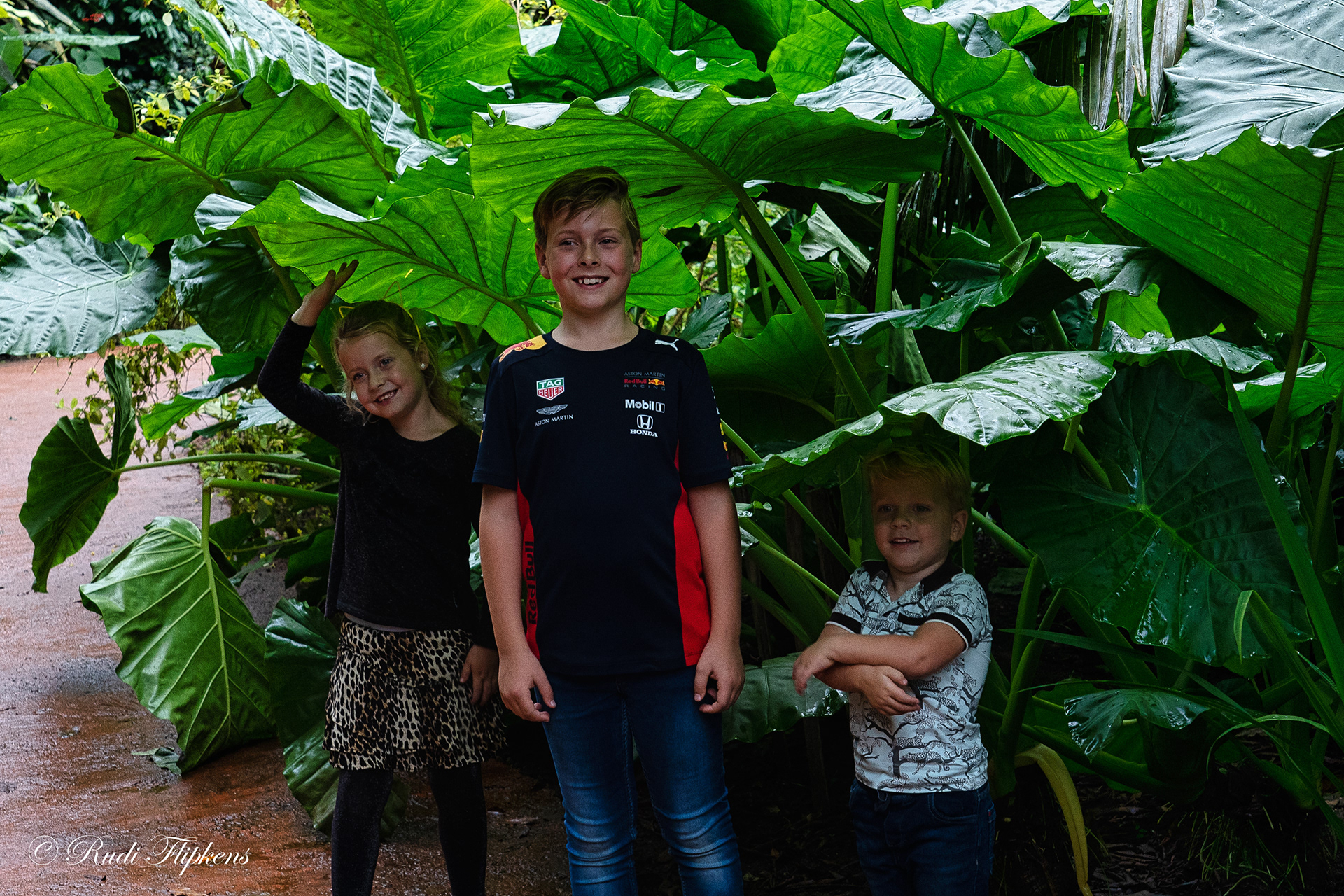 onder het afdak Burgers zoo model FSR