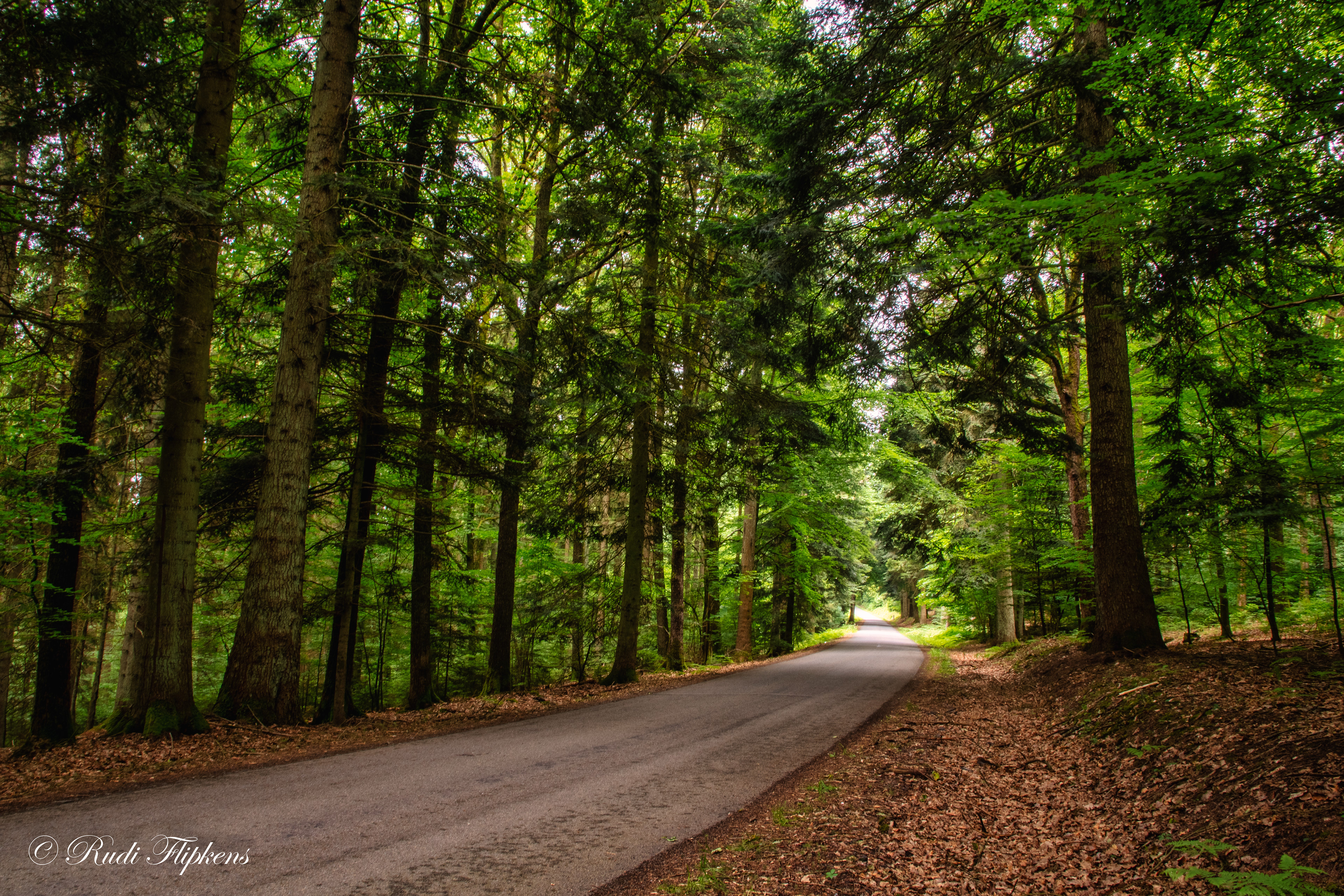 ardennen