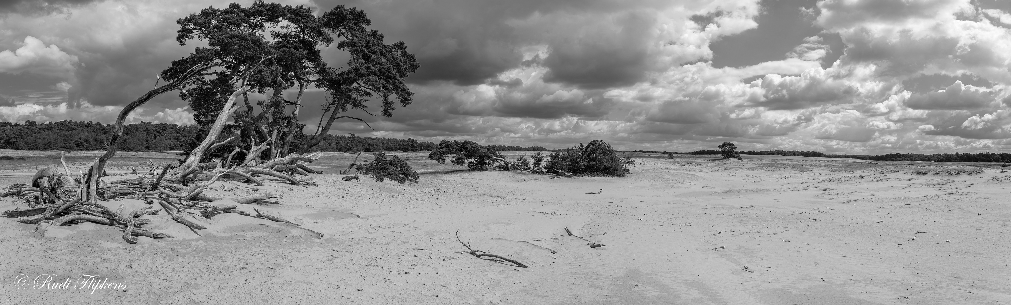 Park Hoge Veluwe