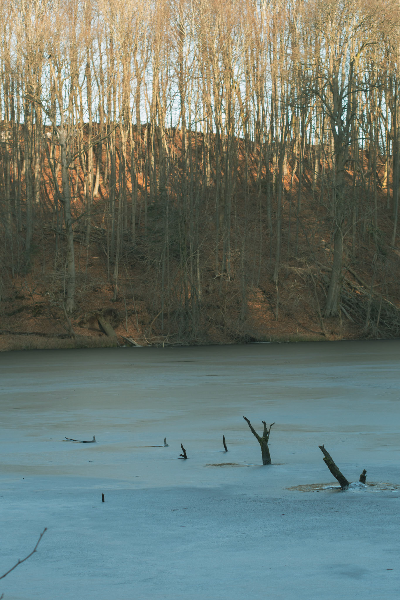 Lanker See bei Preetz Februar 21