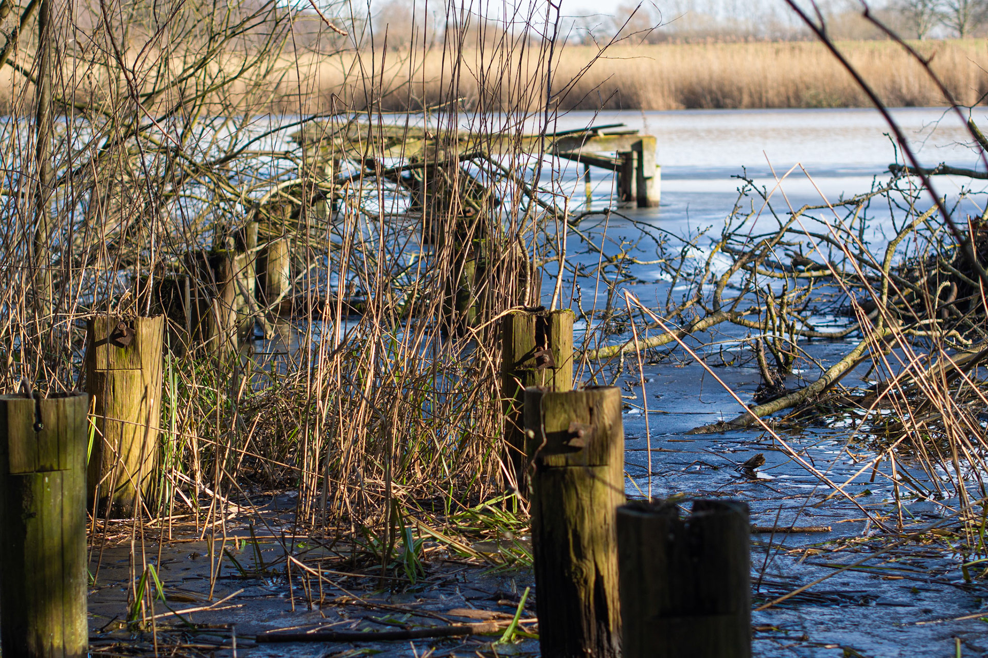Lanker See bei Preetz Februar 21