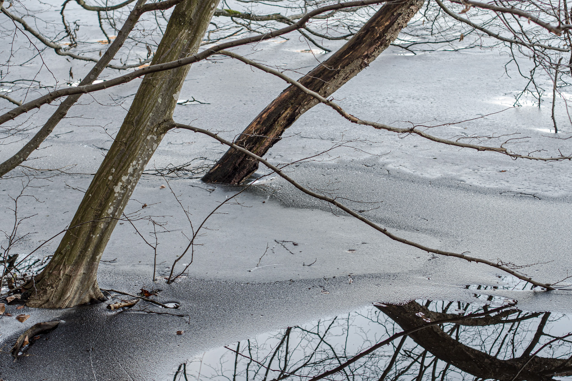 Lanker See bei Preetz Februar 21