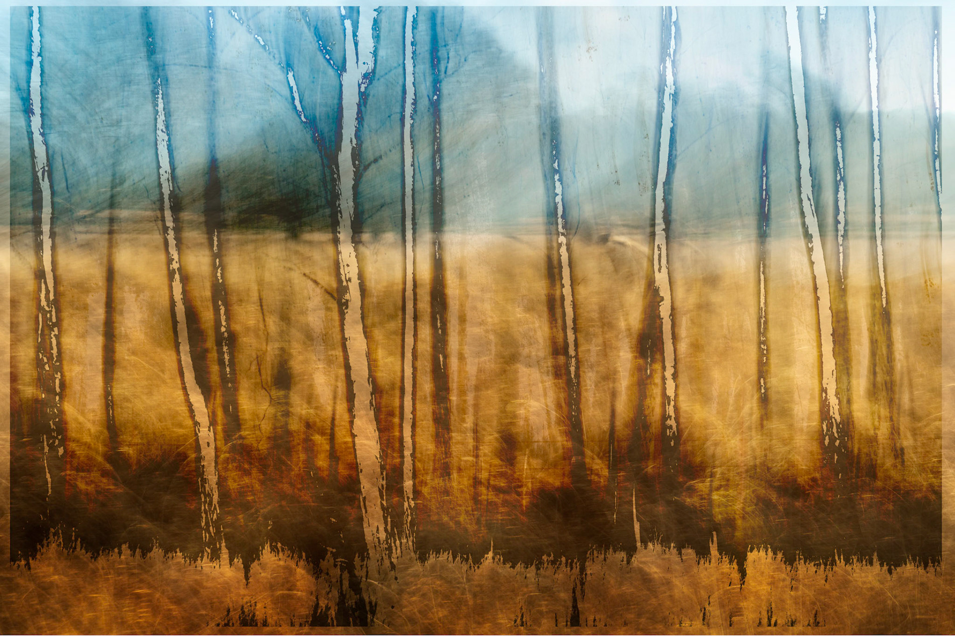 Richmond Park
