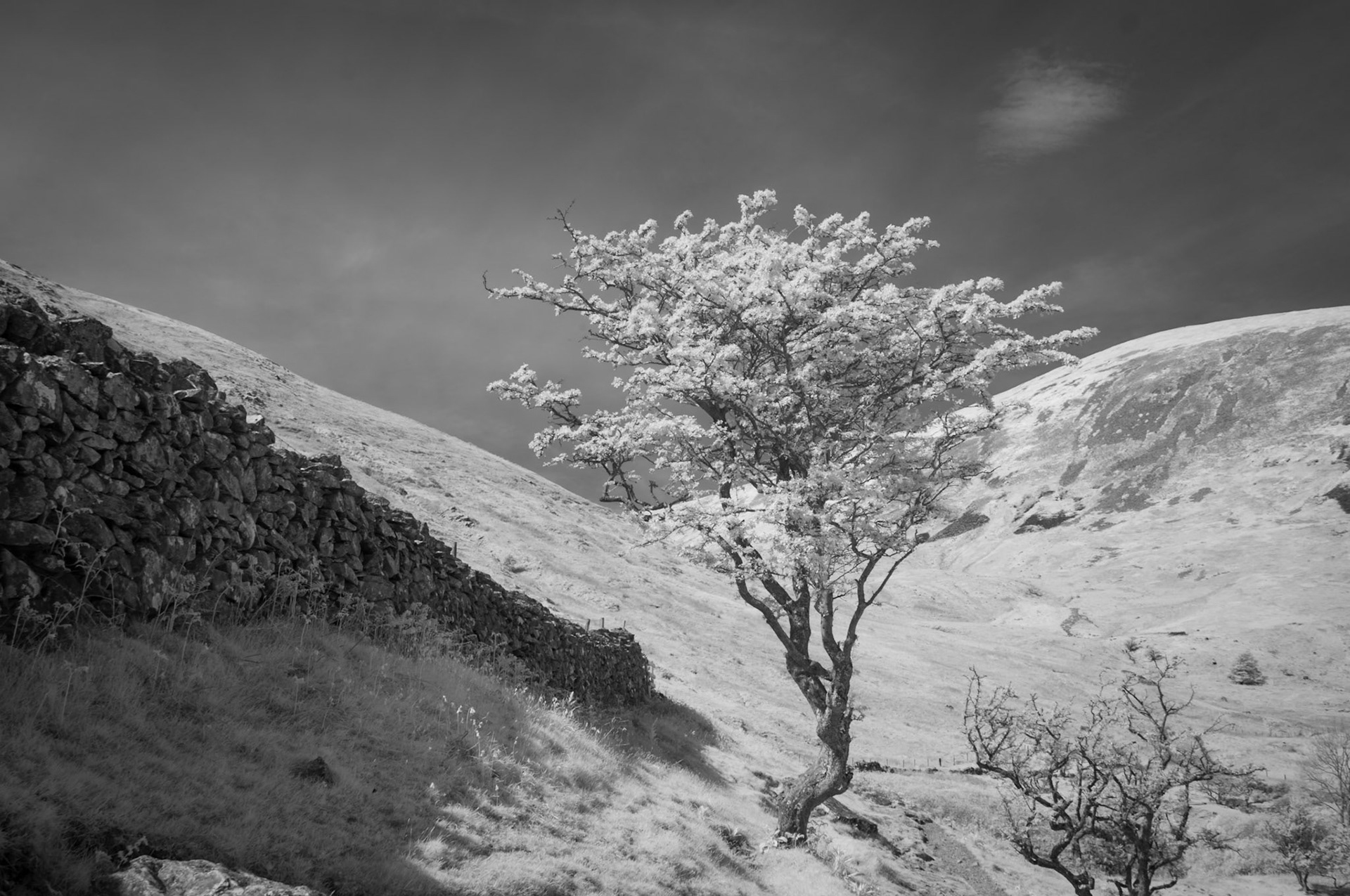 Abergwyngregyn