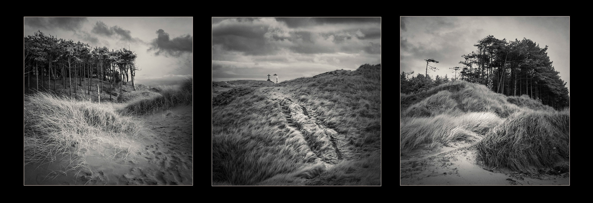 Newborough Forest, Anglesey