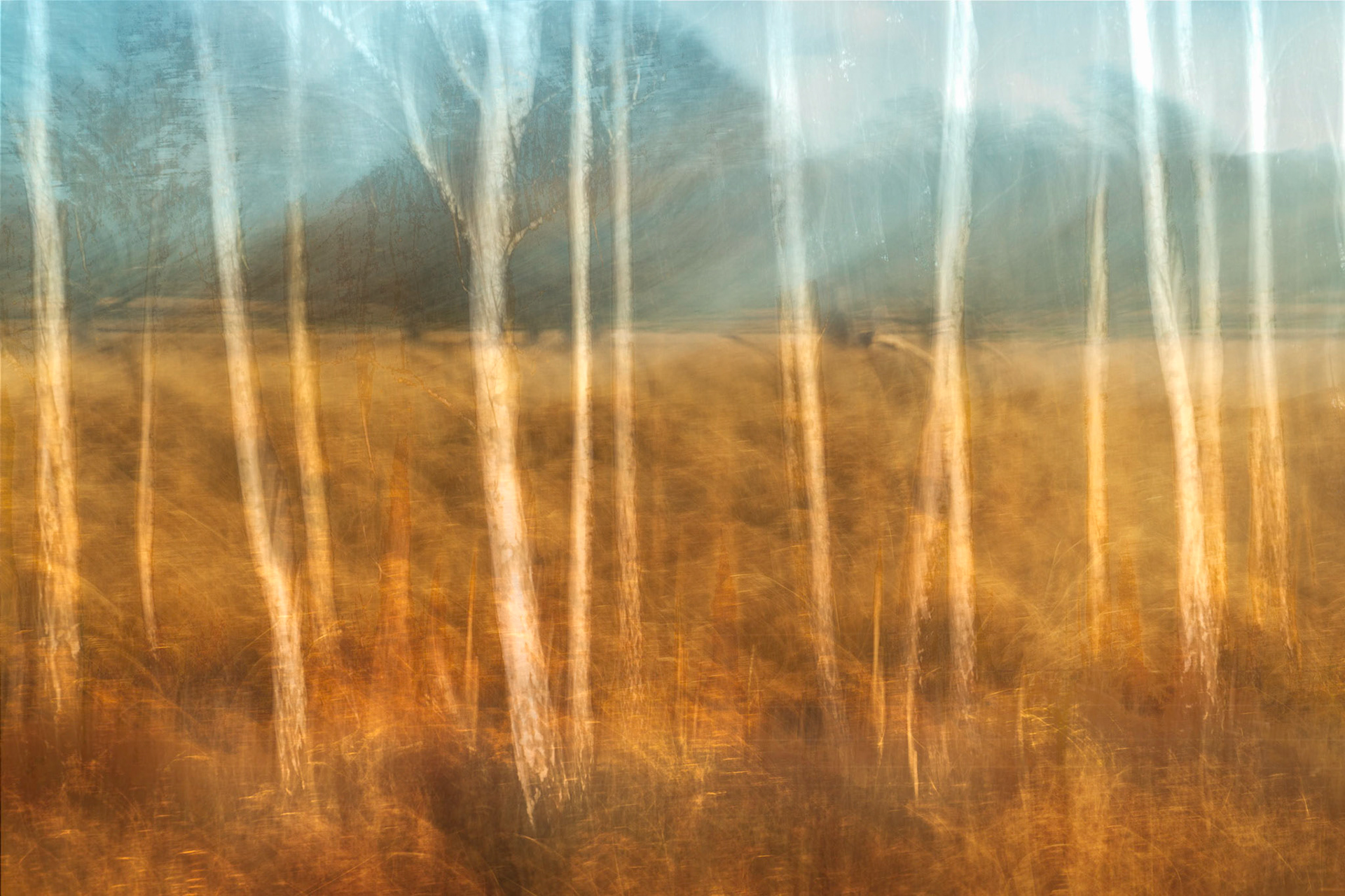 Richmond Park