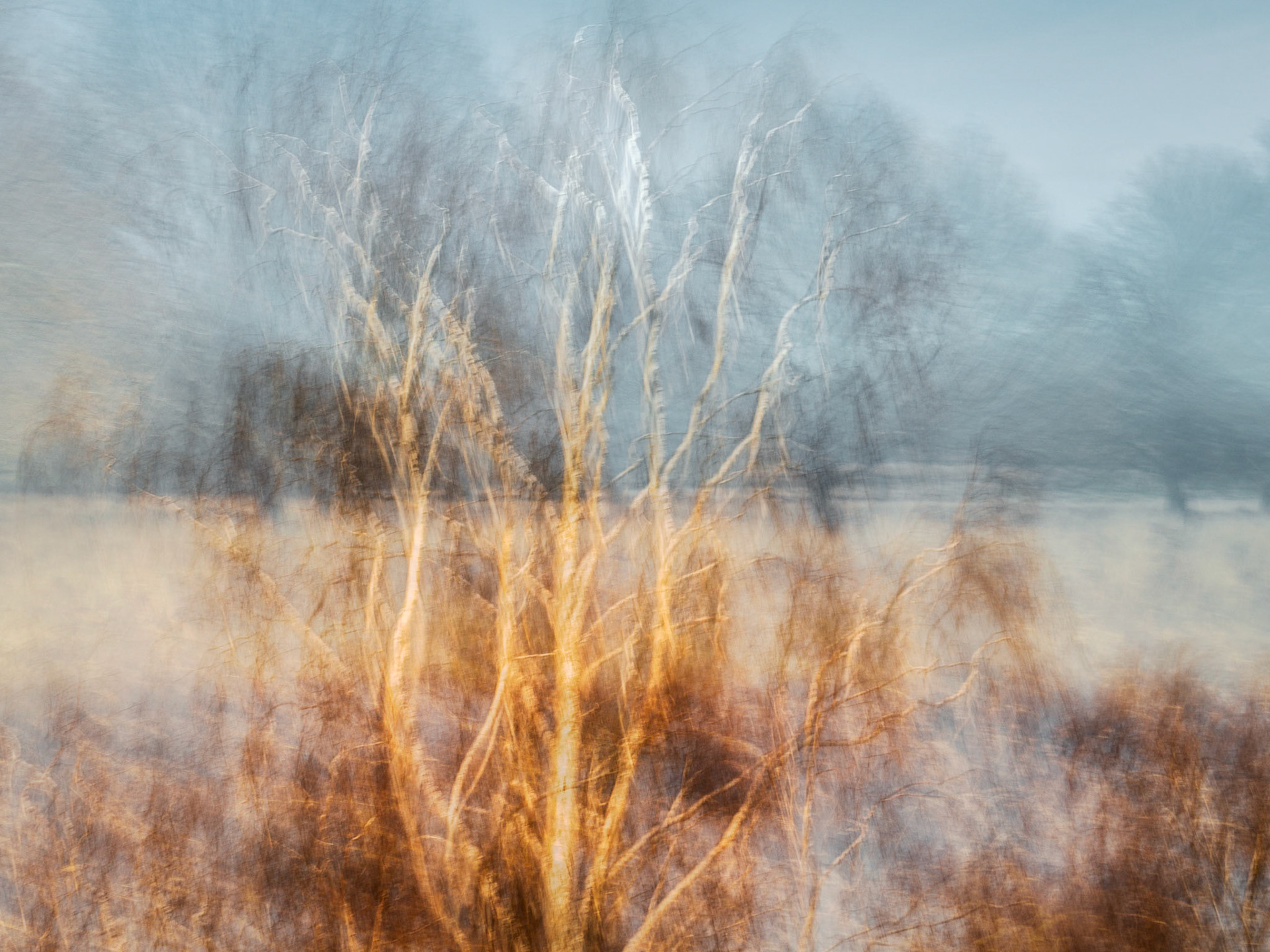 Richmond Park