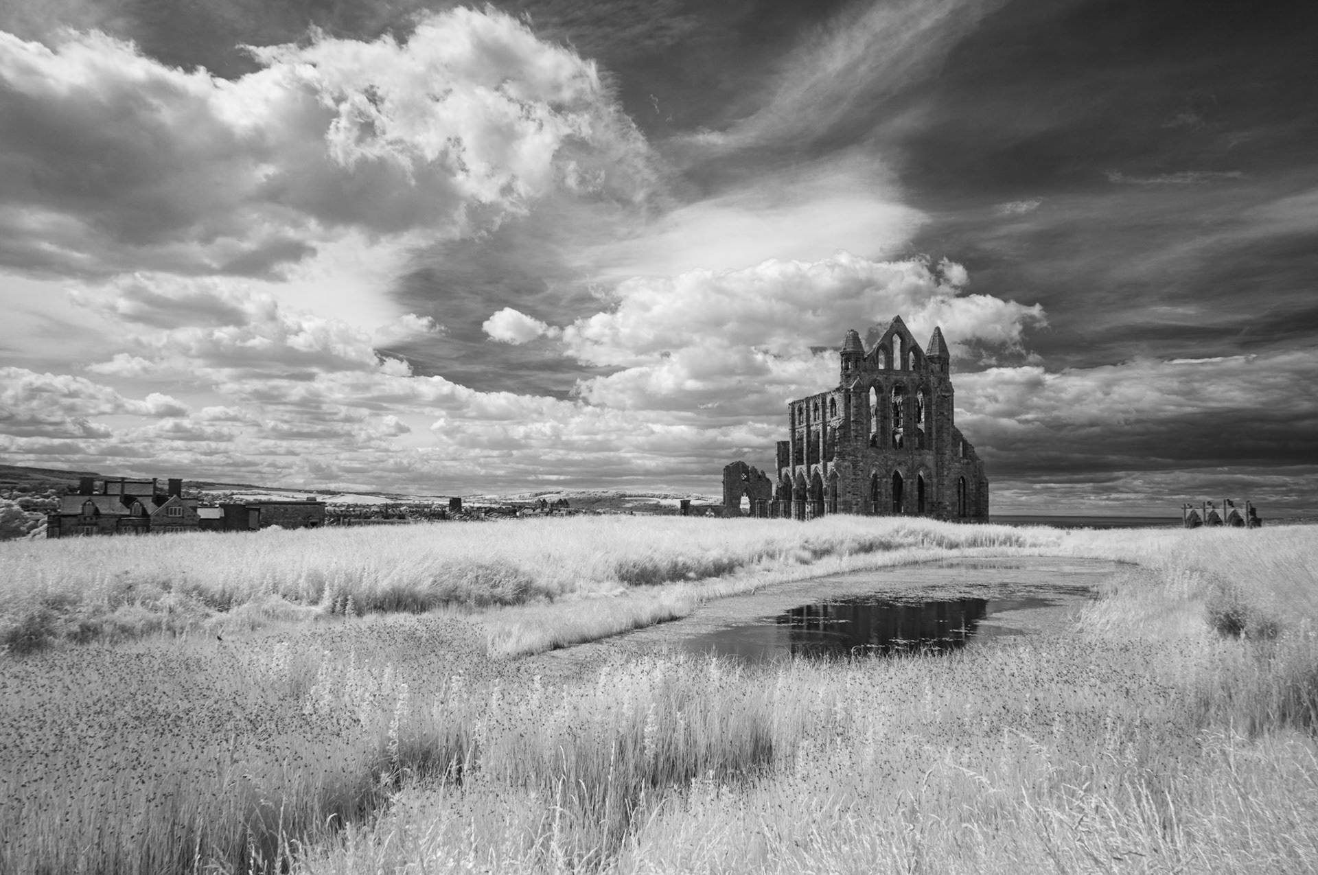 Whitby Abbey