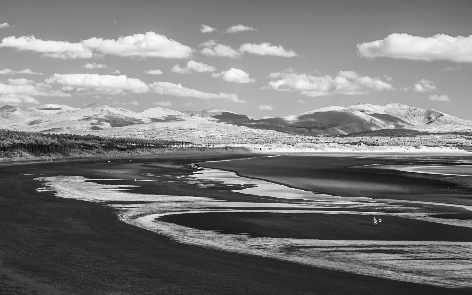 Newborough Forest, Anglesey