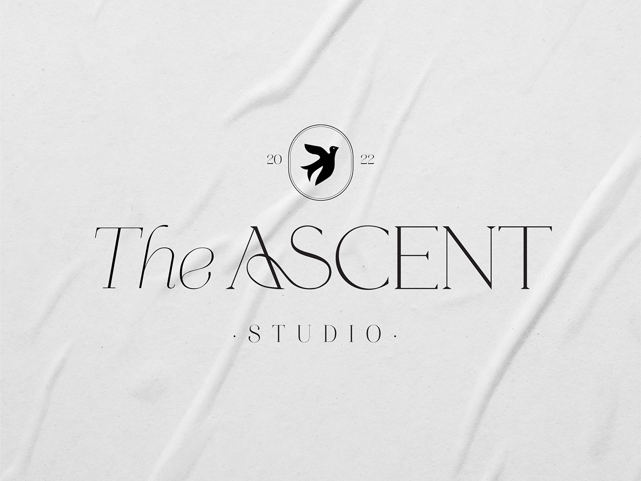 The Ascent Studio