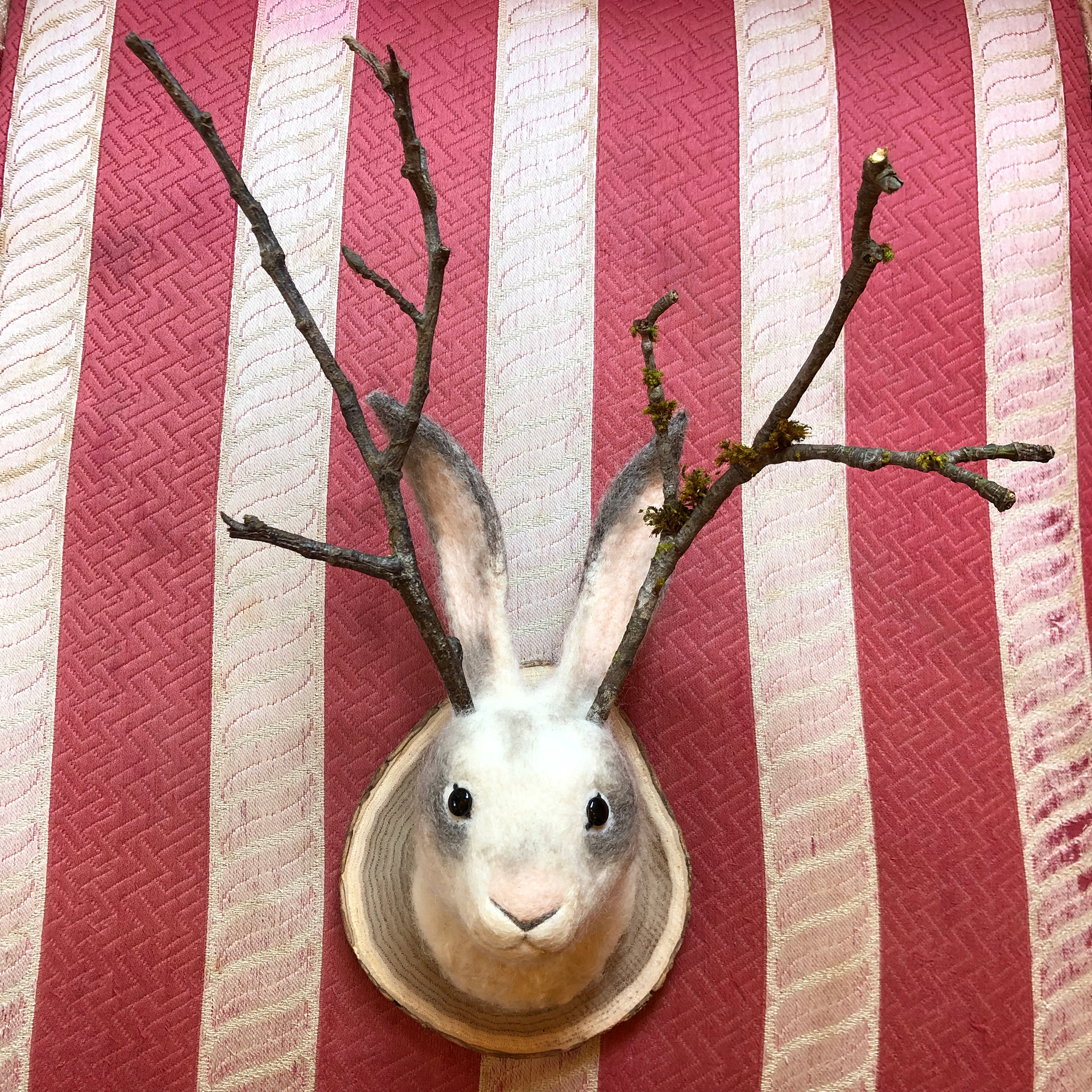 "The White Jackalope," 2022