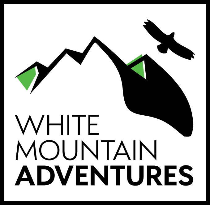 Outline Version