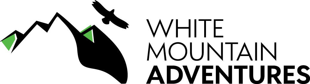 Horizontal Version