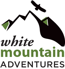 White Mountain Logo Before Refresh