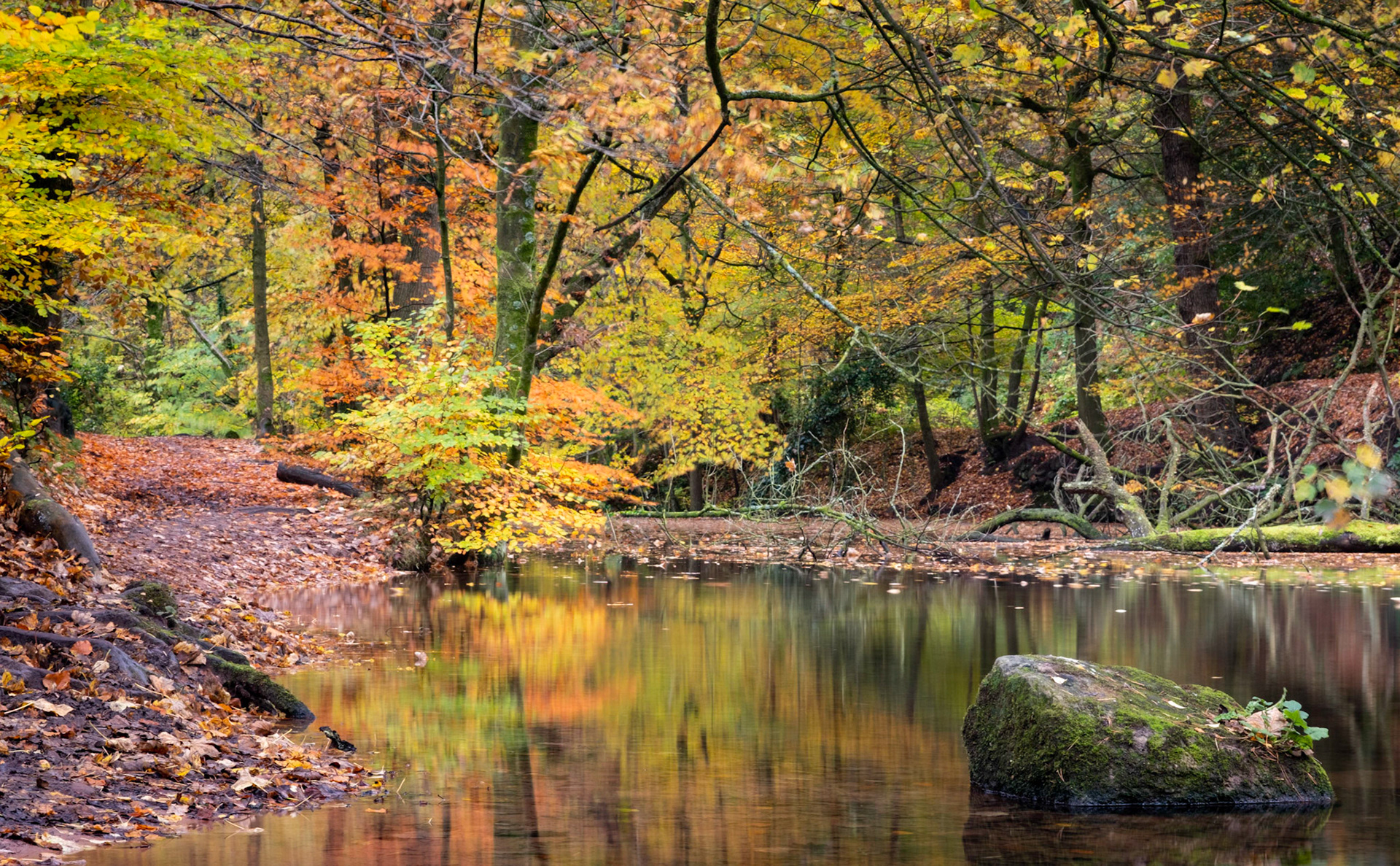 Dimmingsdale Valley, Staffordshire