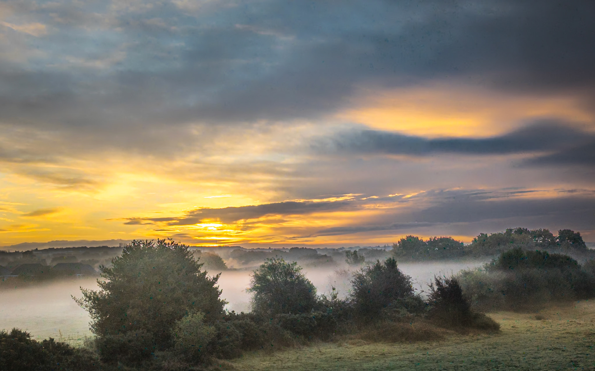 Clayhanger Marsh