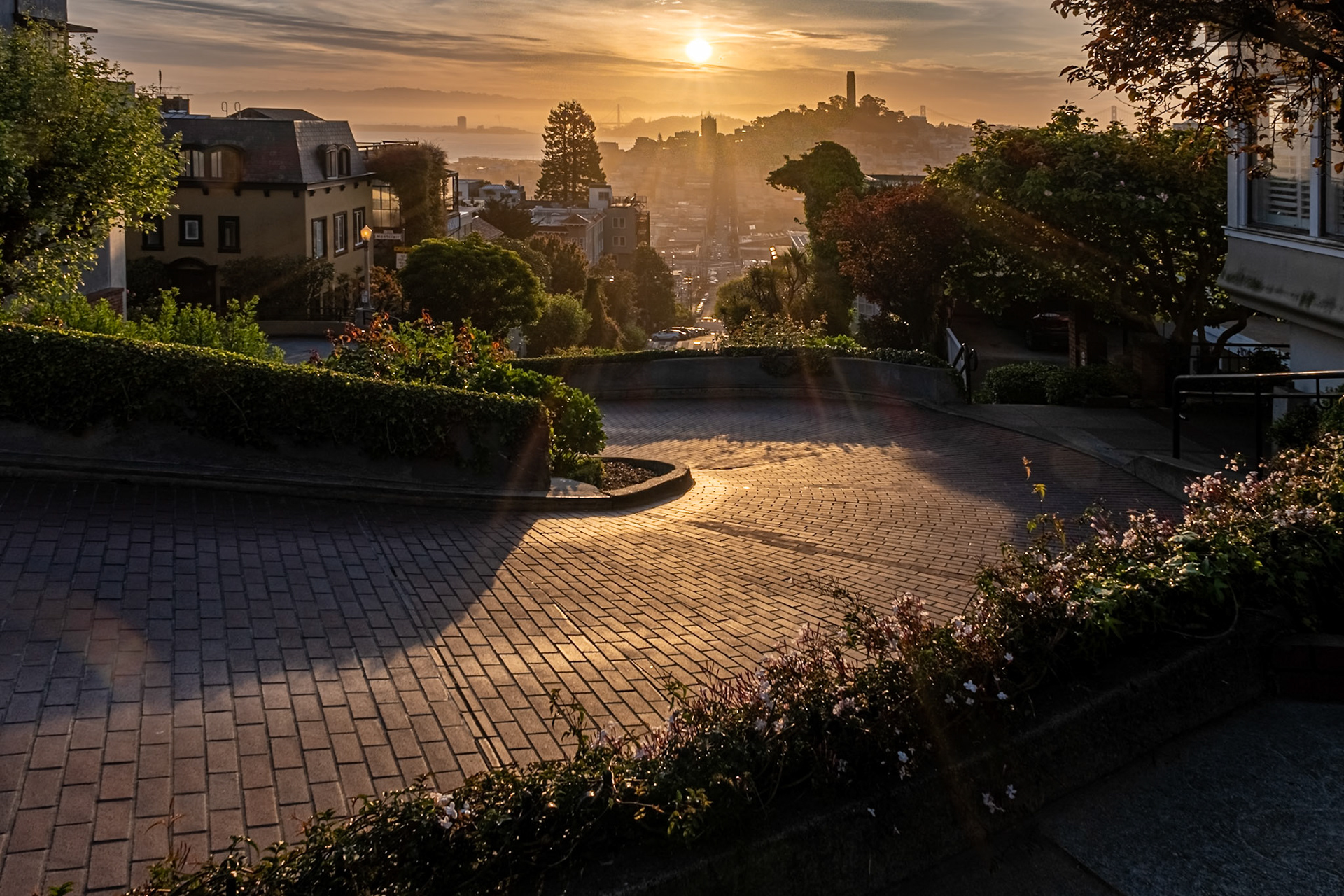 Lombard Street - San Francisco, United States of America