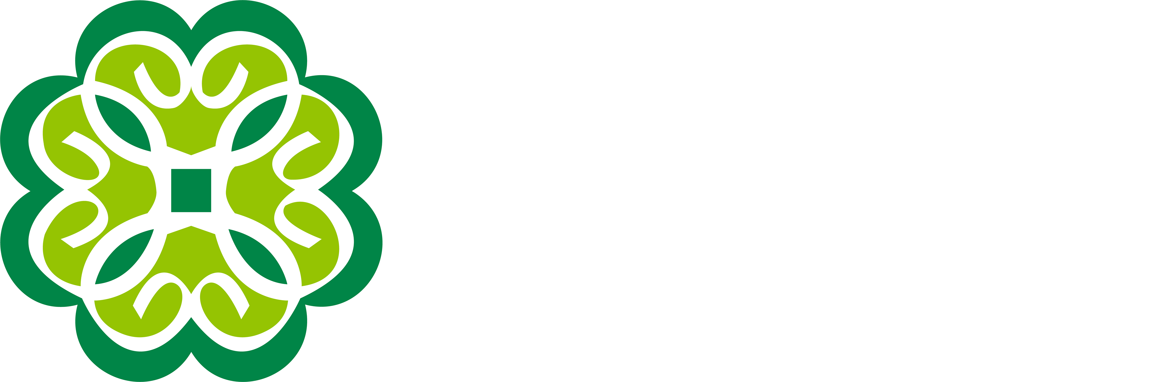 Residencial Cimba