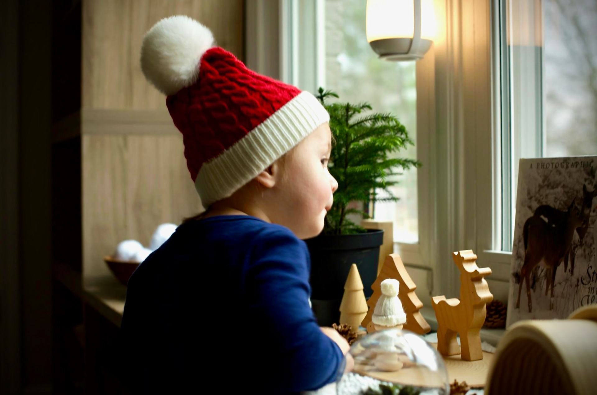 A Child's View