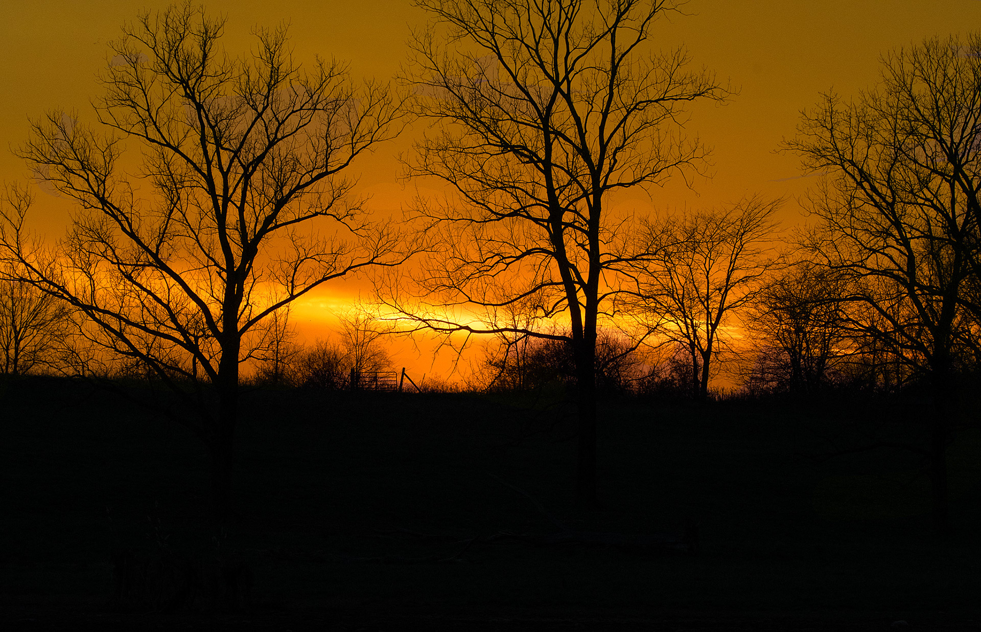 Edited version of Pyramid State Park to enhance the lighting and tree contrast against the sky