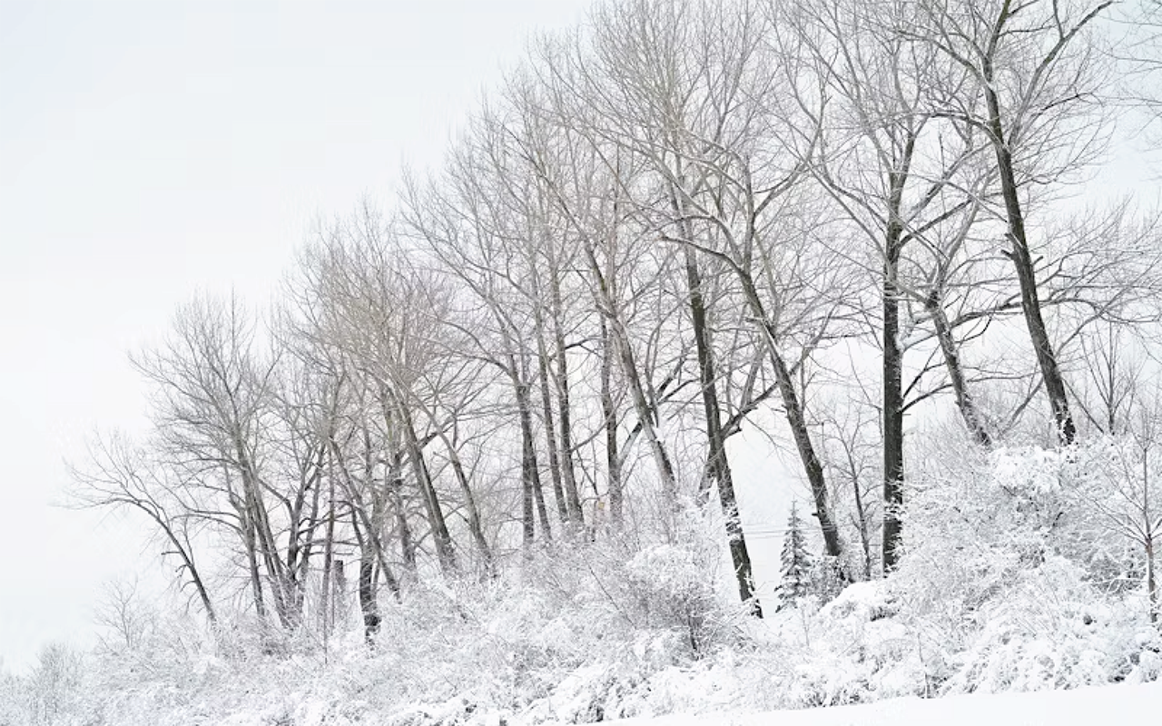 Before Image (Photo provided by Unsplash)