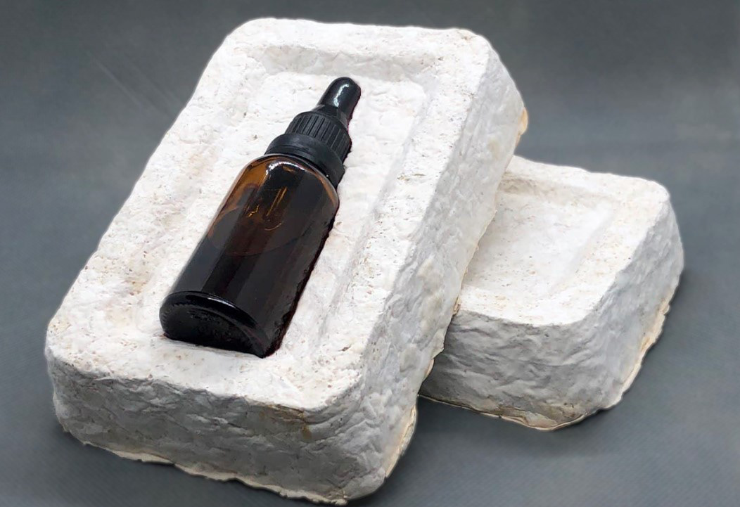 Mycelium Packaging