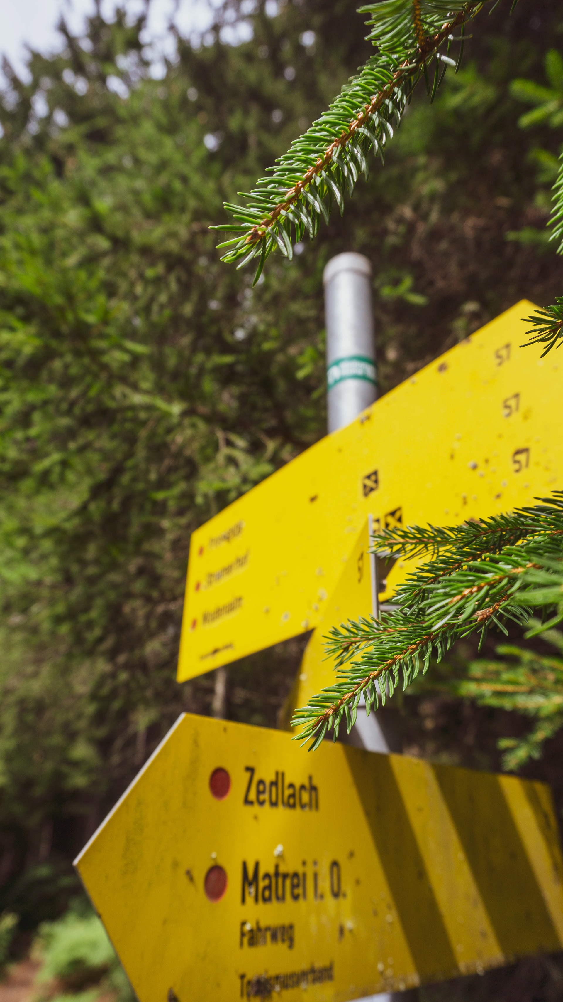 Yellow hiking signs